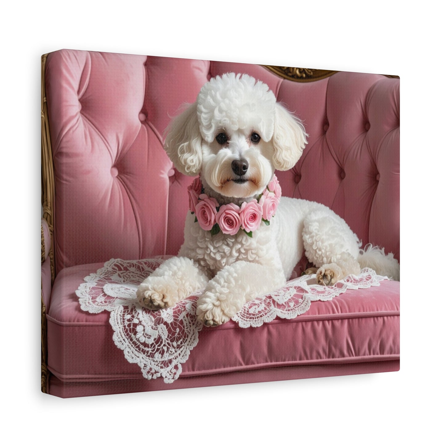 Bougie Bichon: Pink Velvet - Chunique Chihuahuas