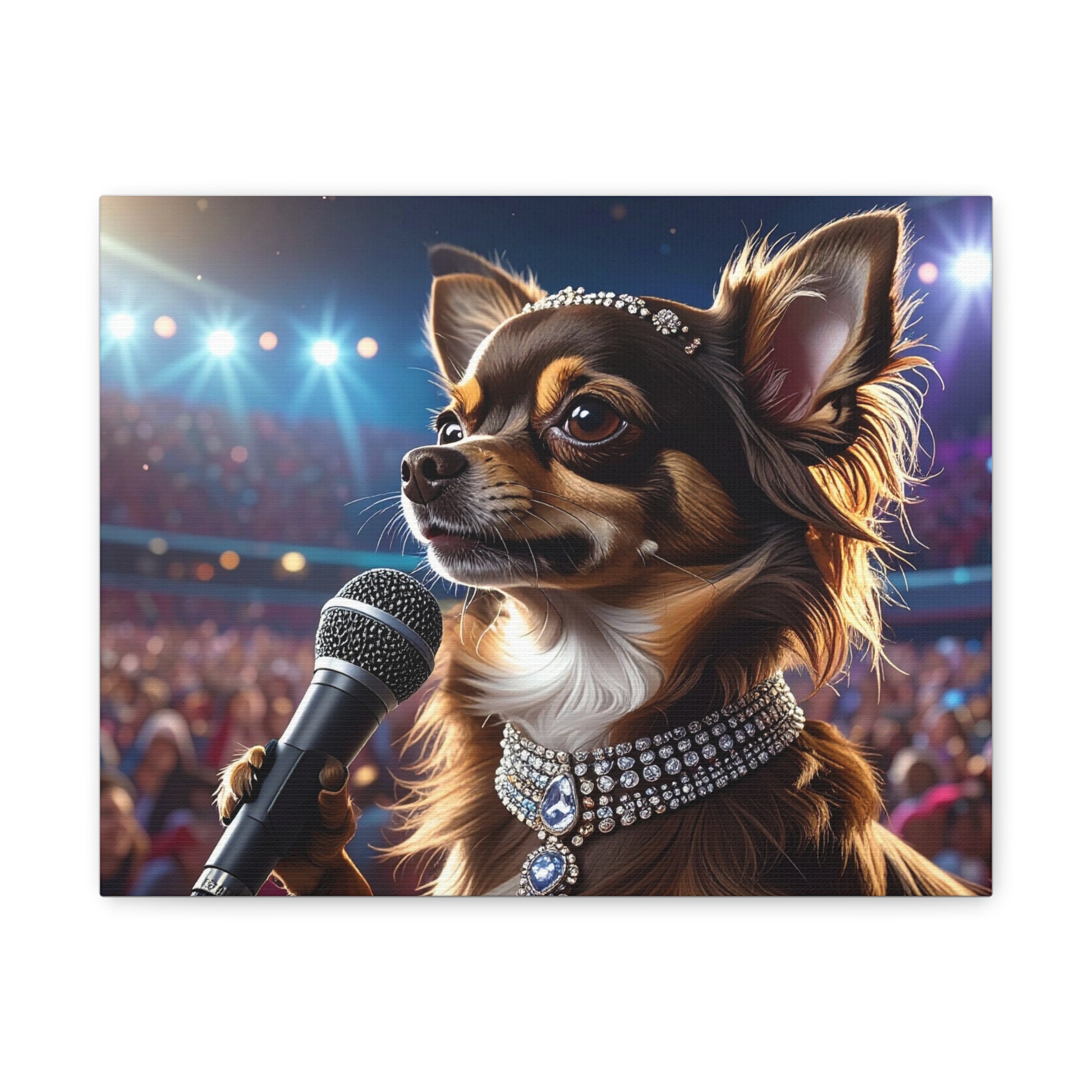 Music Muse: Pop Star - chunique chihuahuas
