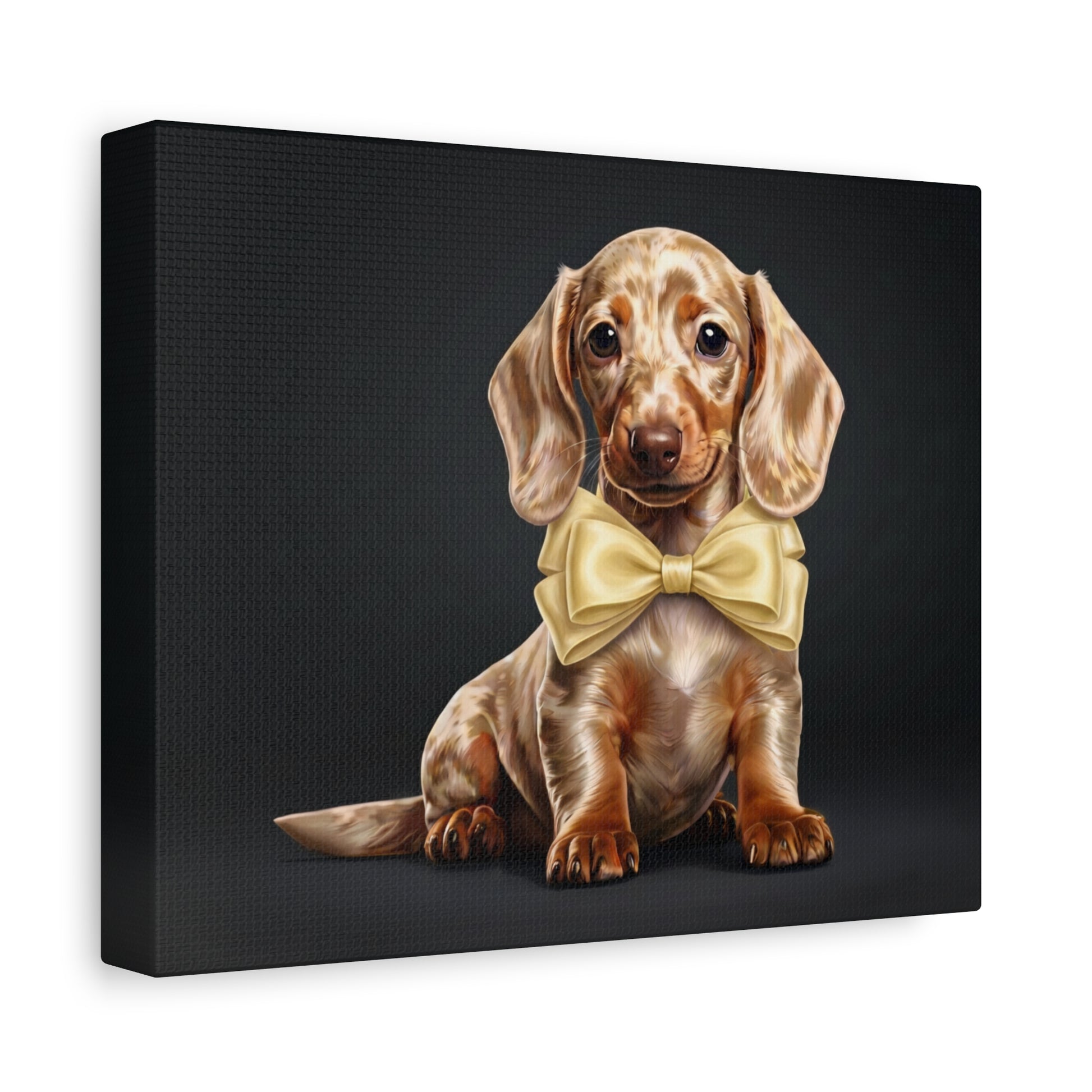 Dachshund puppy wearing a yellow bow tie on a black background