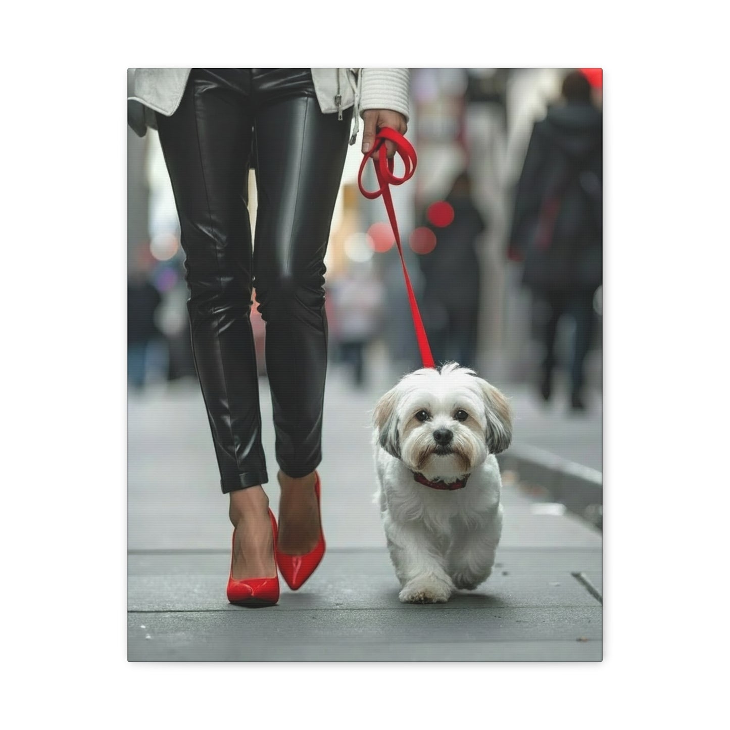Shih Tzu Glitz: Off - Duty - Chunique Chihuahuas