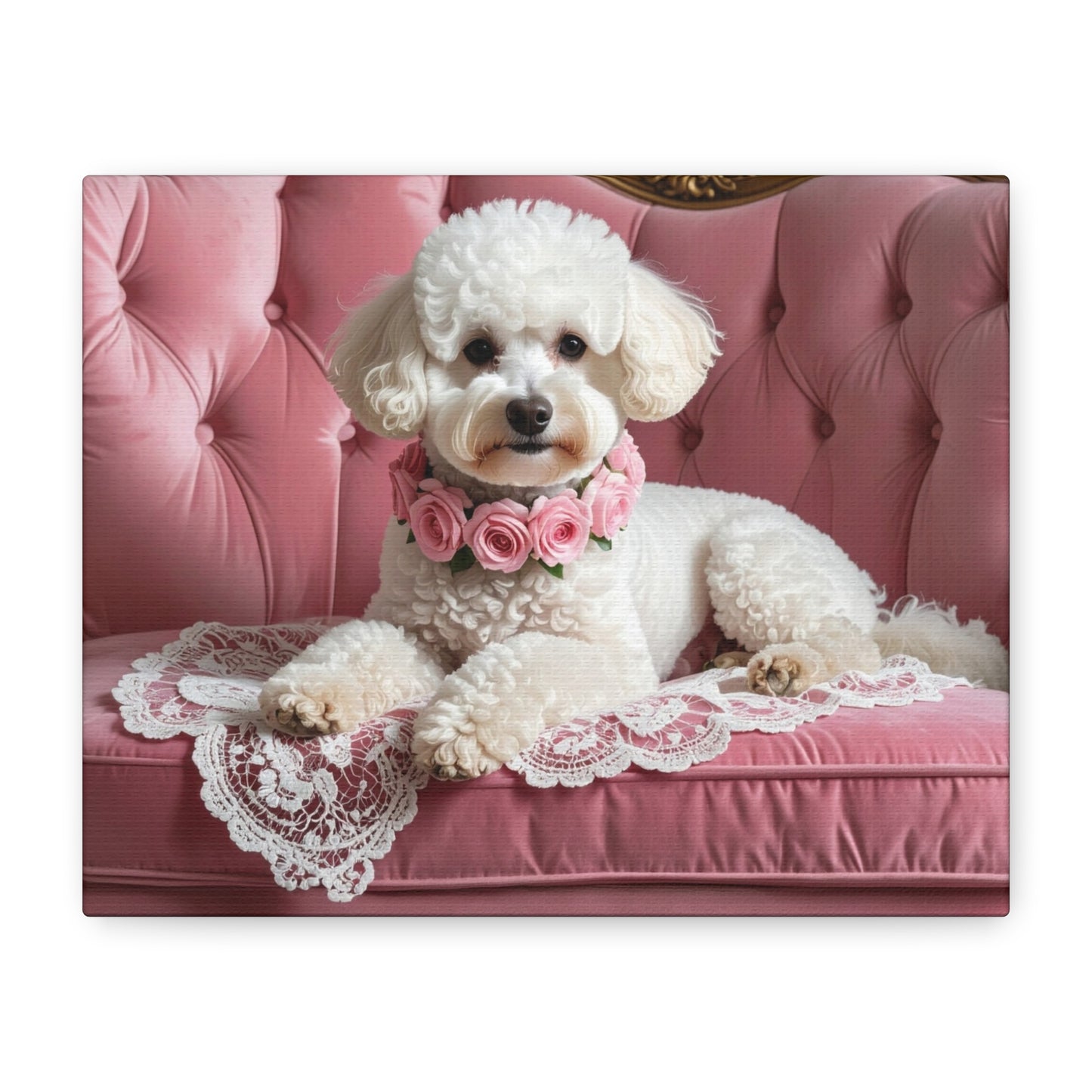 Bougie Bichon: Pink Velvet - Chunique Chihuahuas