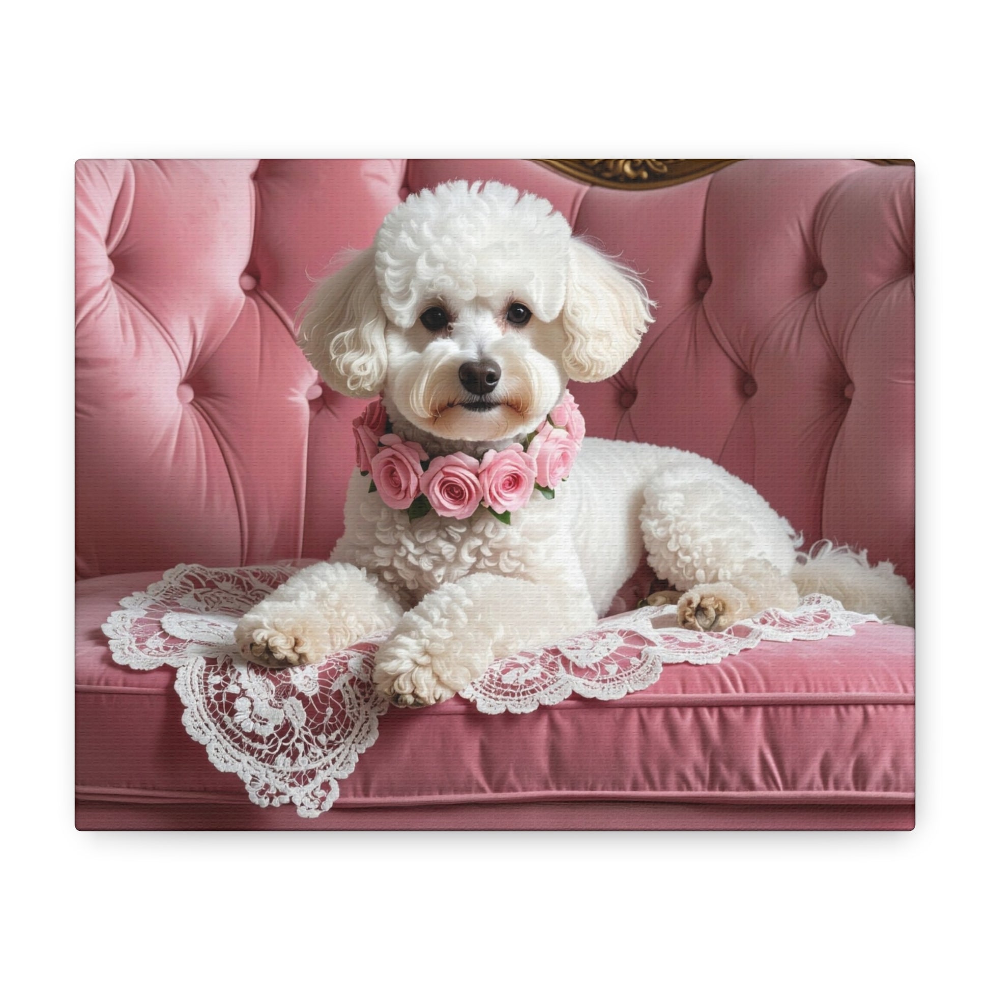 Bougie Bichon: Pink Velvet - Chunique Chihuahuas
