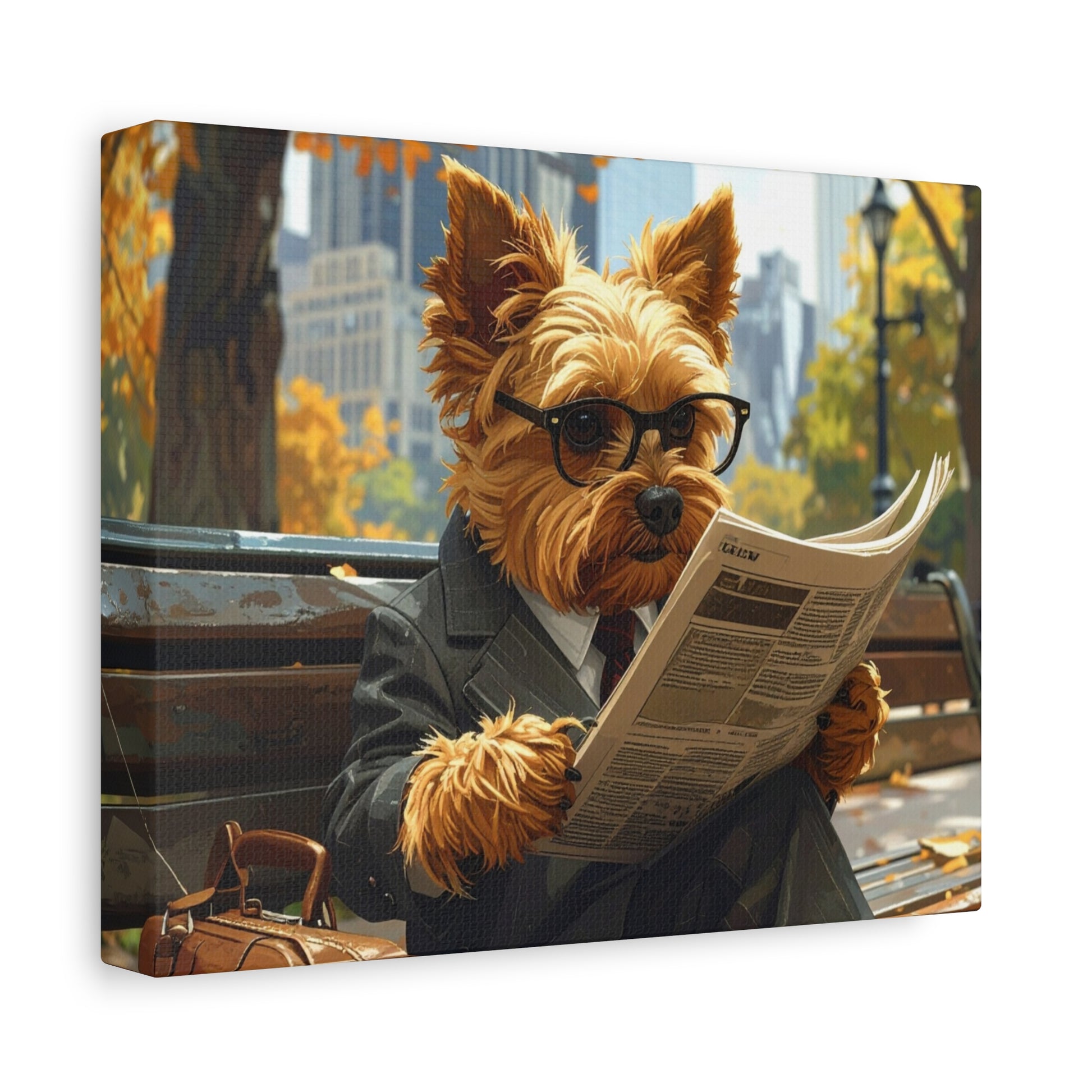 NY Yorkie: Daily News - Chunique Chihuahuas