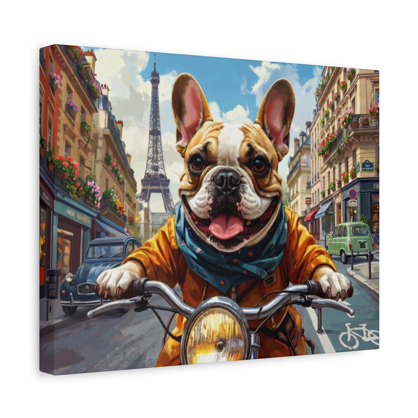 Frenchies in France: Motorbike - Chunique Chihuahuas