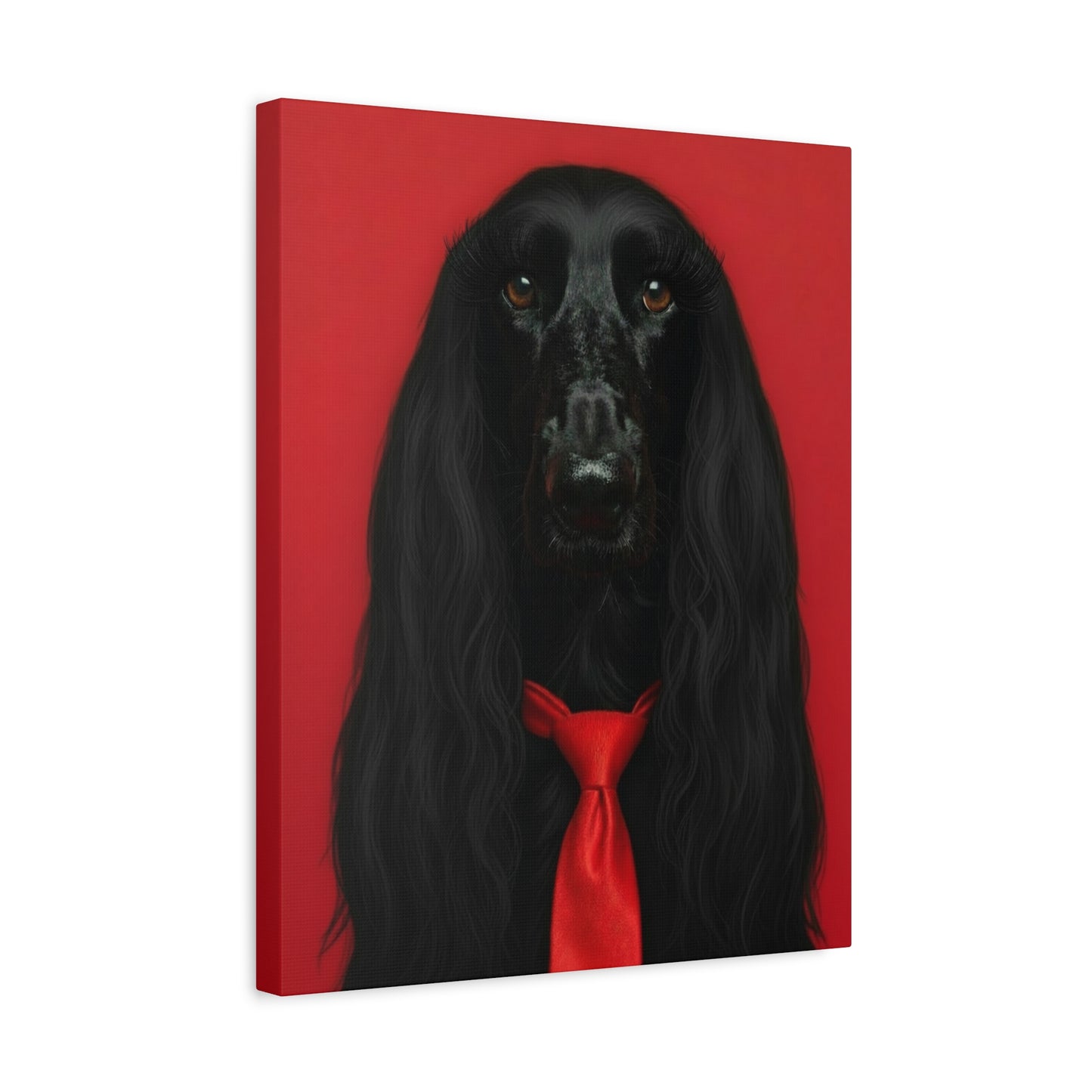 Glamorous Grandeur: Black & Red - Chunique Chihuahuas