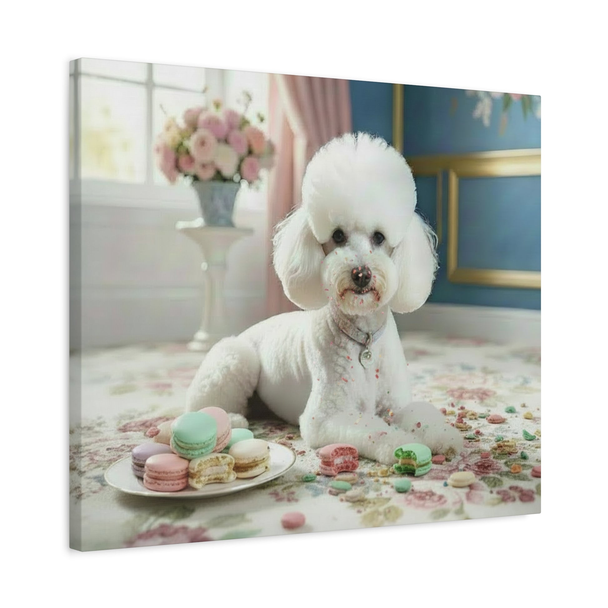White dog sitting on a floral rug with a plate of colorful macarons in a decorated room.