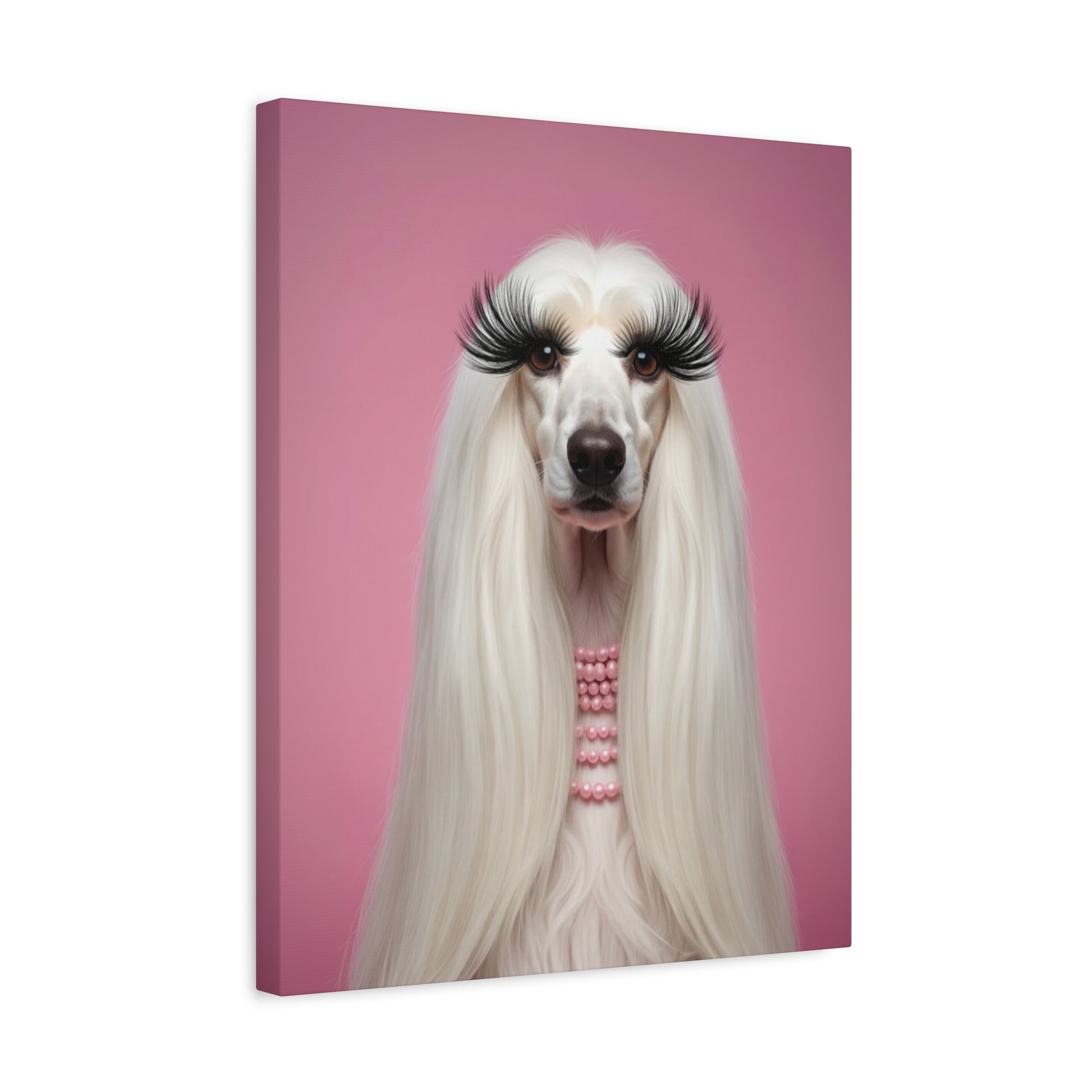 Glamorous Grandeur: White & Pink - Chunique Chihuahuas