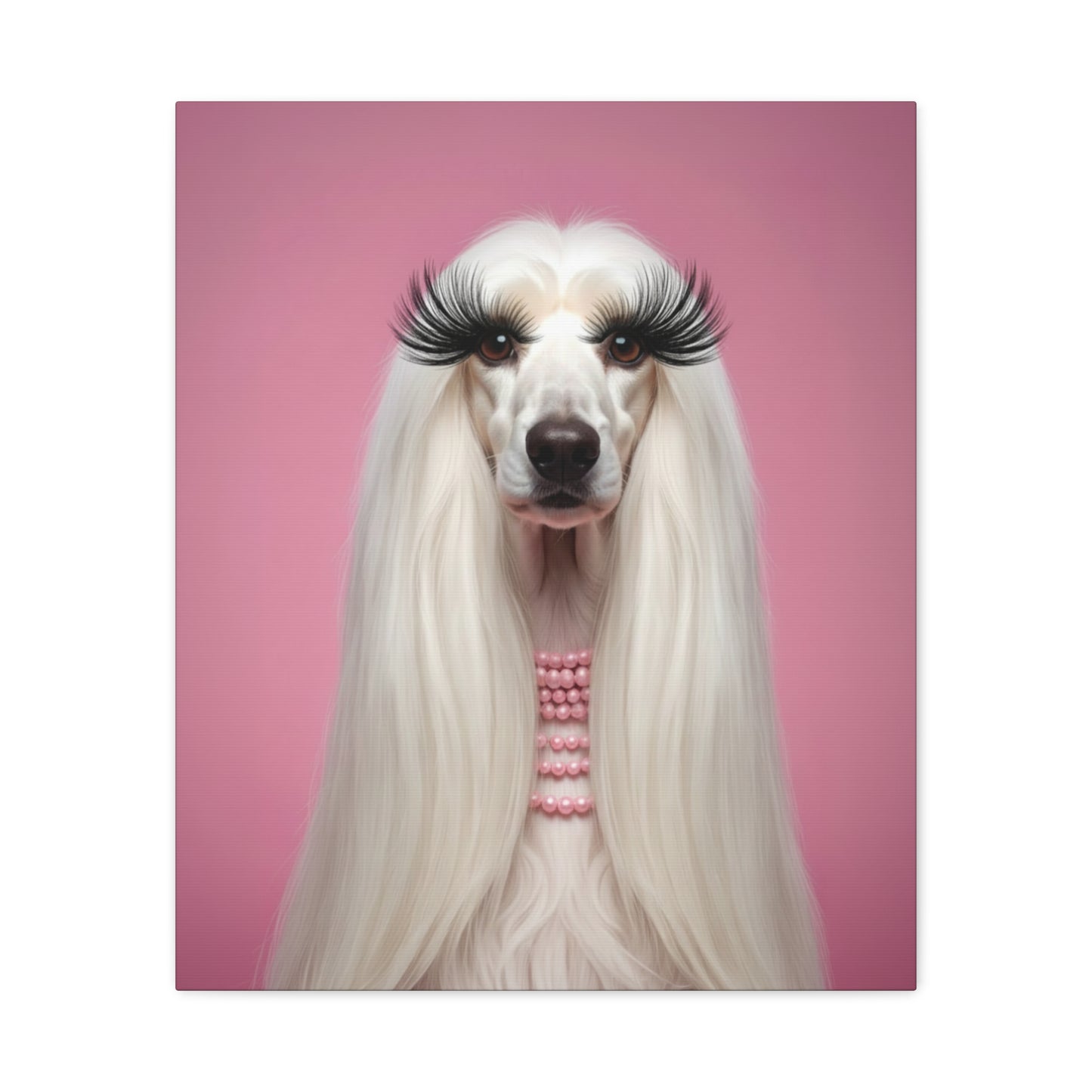 Glamorous Grandeur: White & Pink - Chunique Chihuahuas