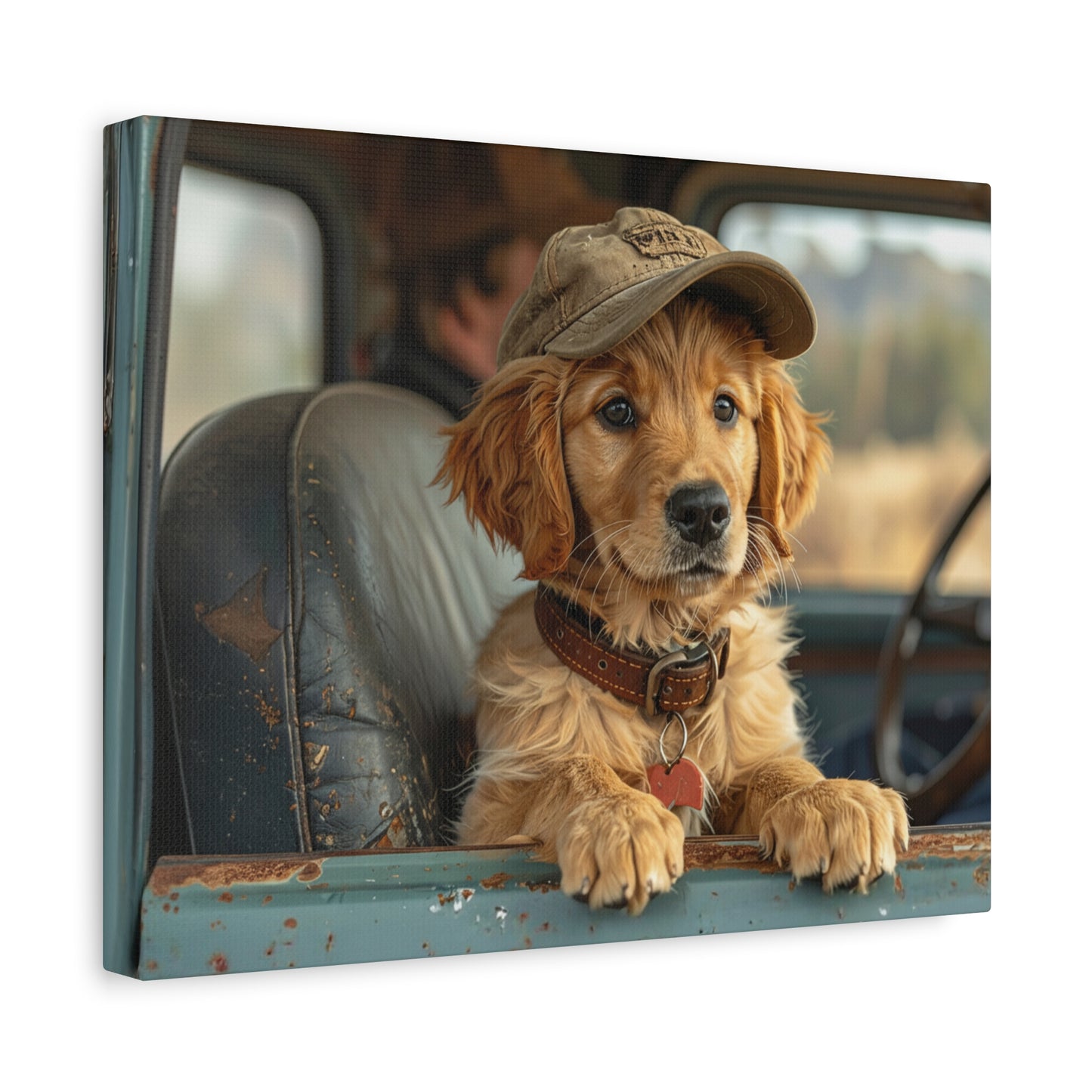 JoyRide: Golden Retriever - Chunique Chihuahuas