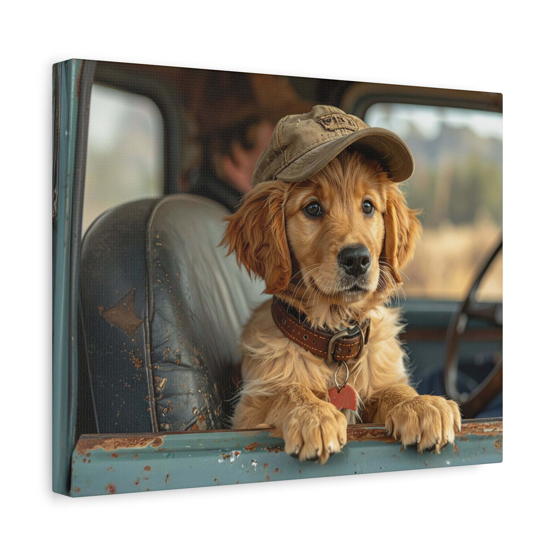 JoyRide: Golden Retriever - Chunique Chihuahuas