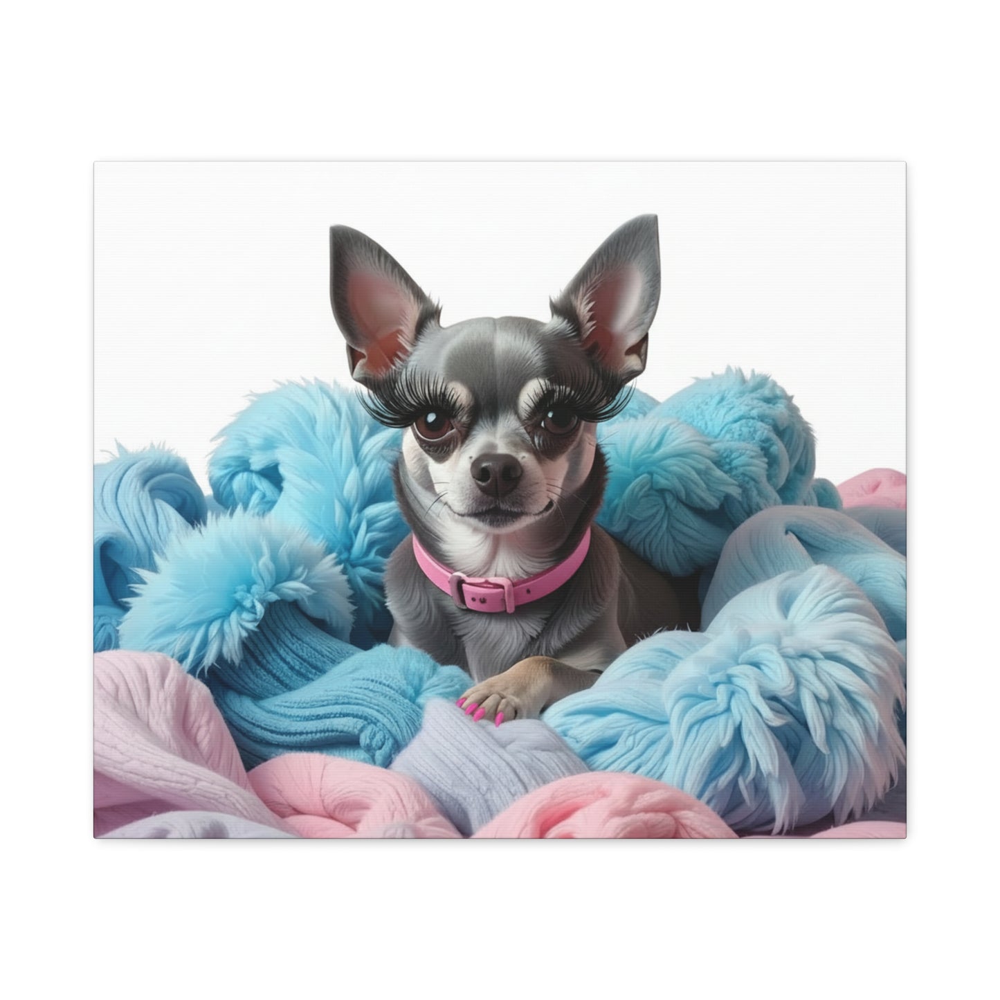 Perfectly Pink: Pink & Blue - Chunique Chihuahuas
