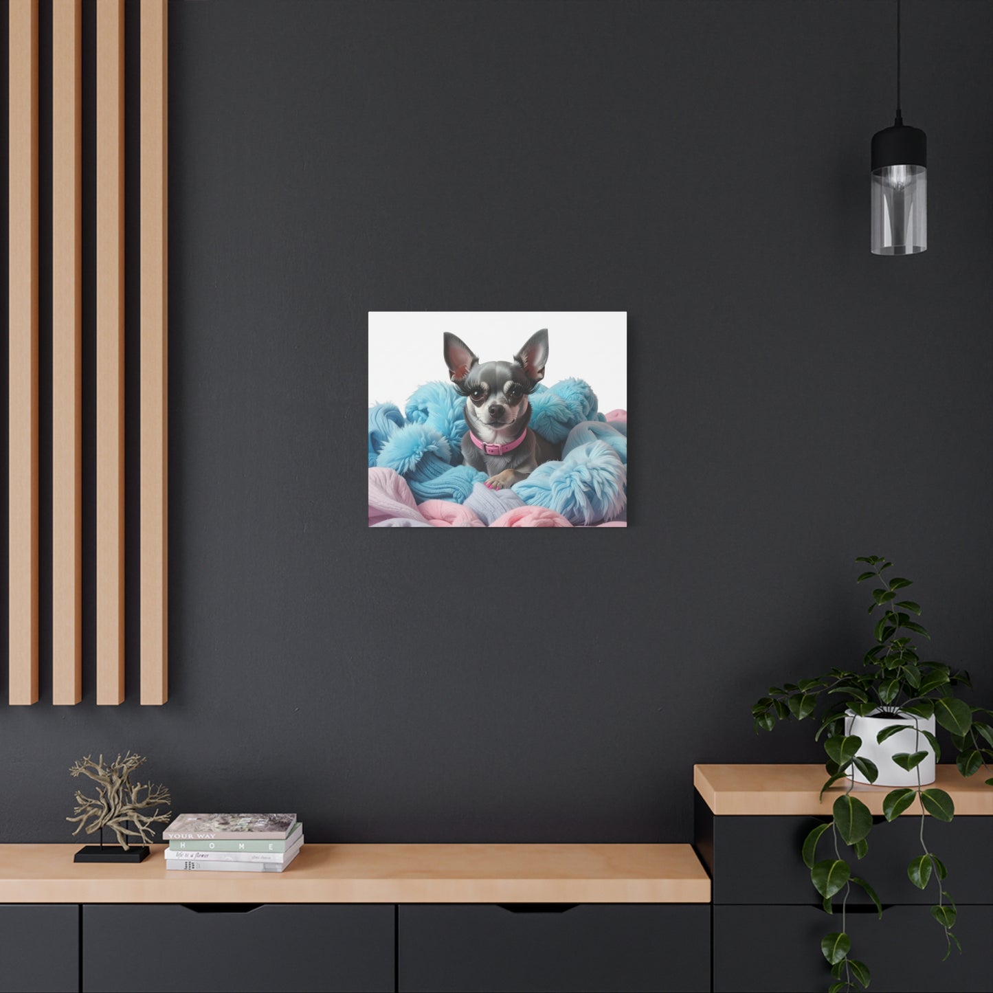 Perfectly Pink: Pink & Blue - Chunique Chihuahuas
