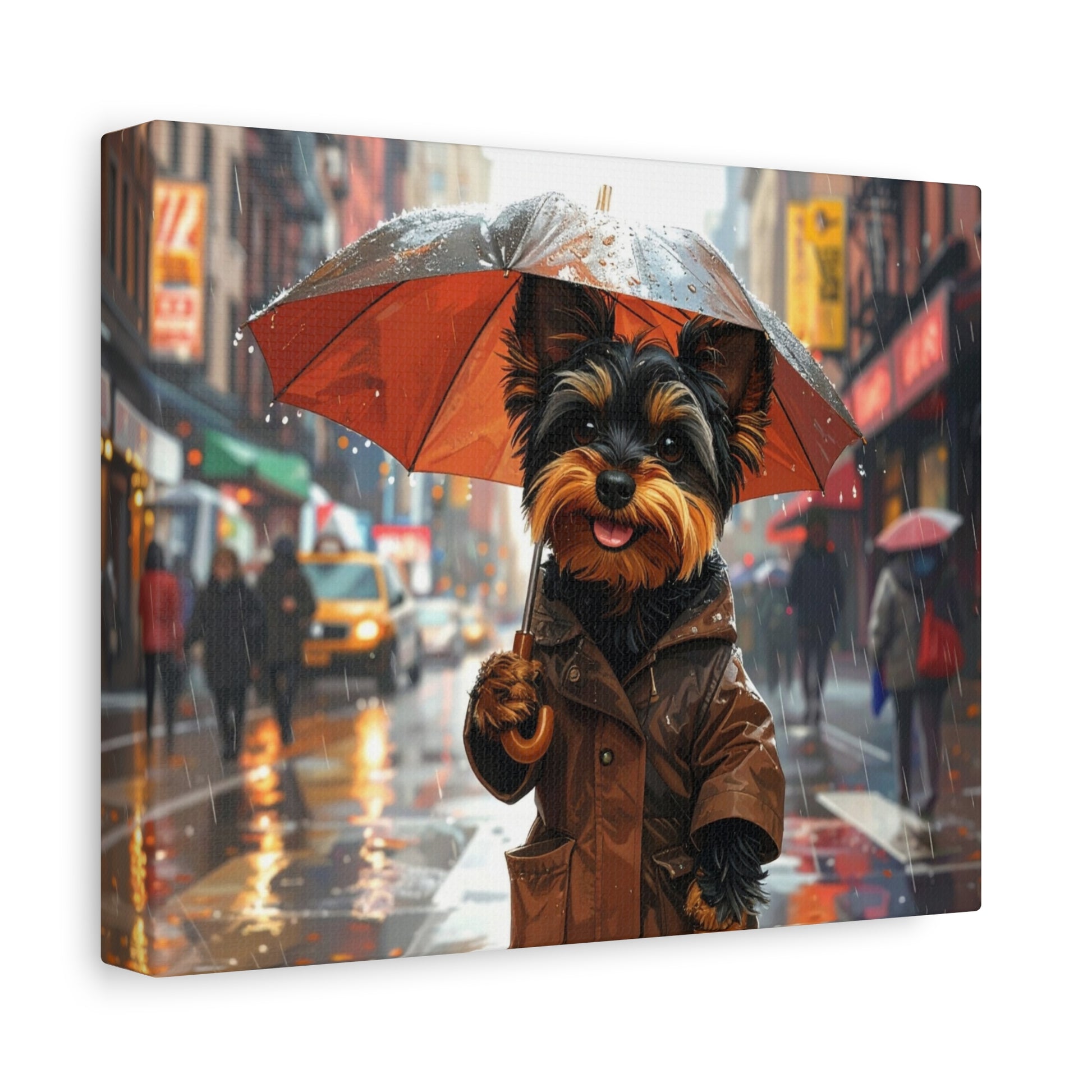 NY Yorkie: Everyday Rain - Chunique Chihuahuas