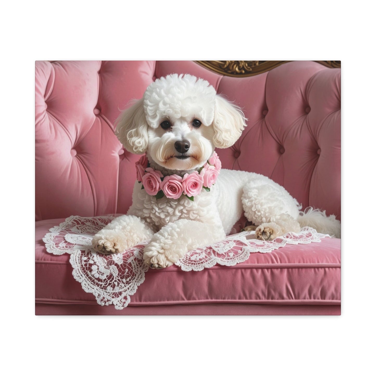 Bougie Bichon: Pink Velvet - Chunique Chihuahuas