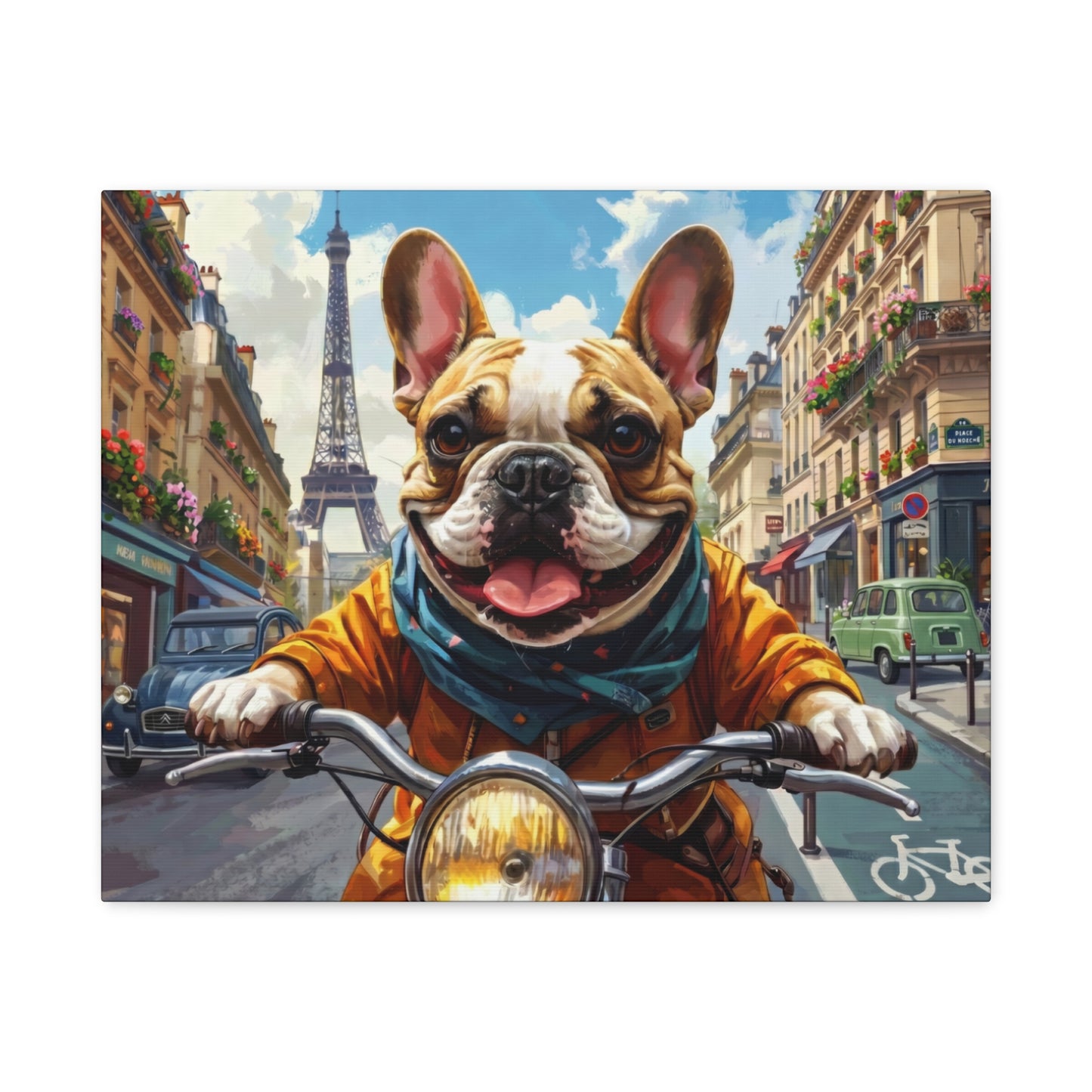 Frenchies in France: Motorbike - Chunique Chihuahuas