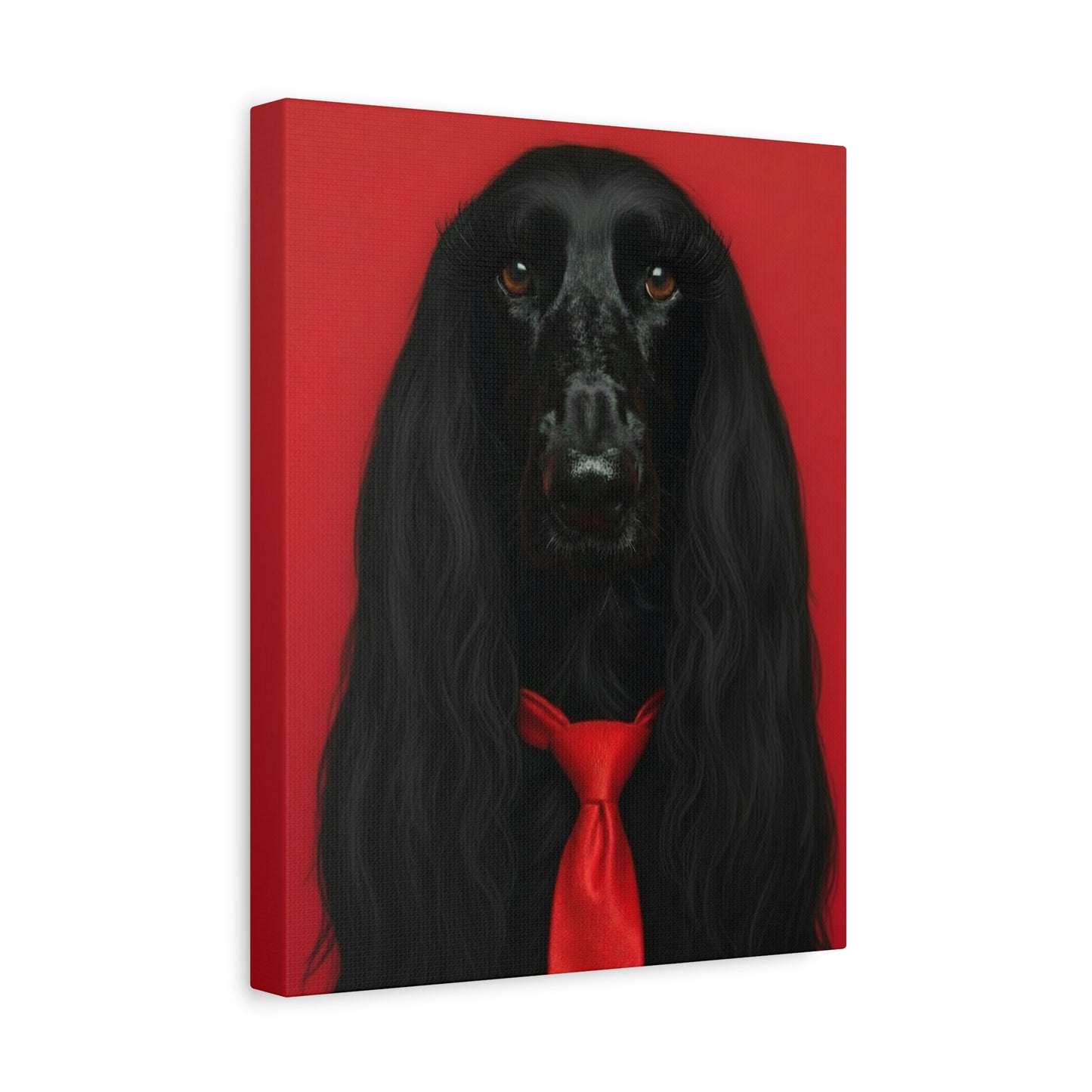 Glamorous Grandeur: Black & Red - Chunique Chihuahuas