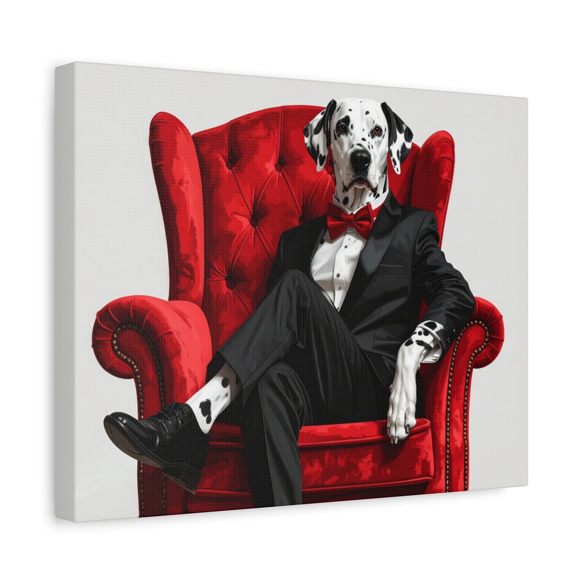 Black & White: Tuxedo - Chunique Chihuahuas
