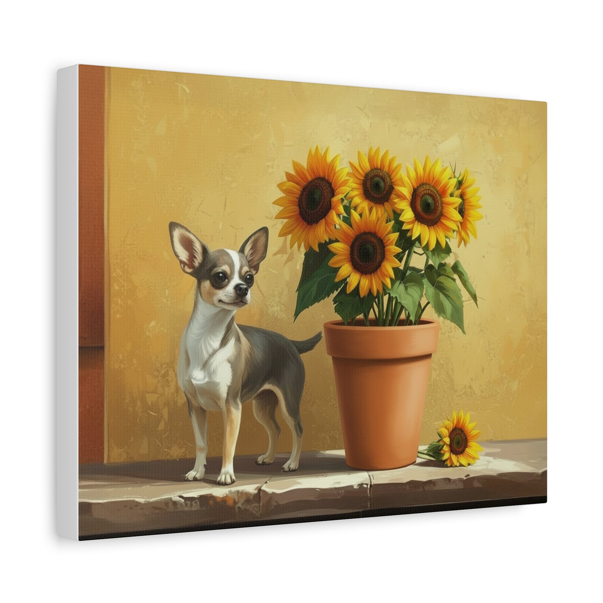 The Southwest: Sunflowers & Chihuahuas - Chunique Chihuahuas