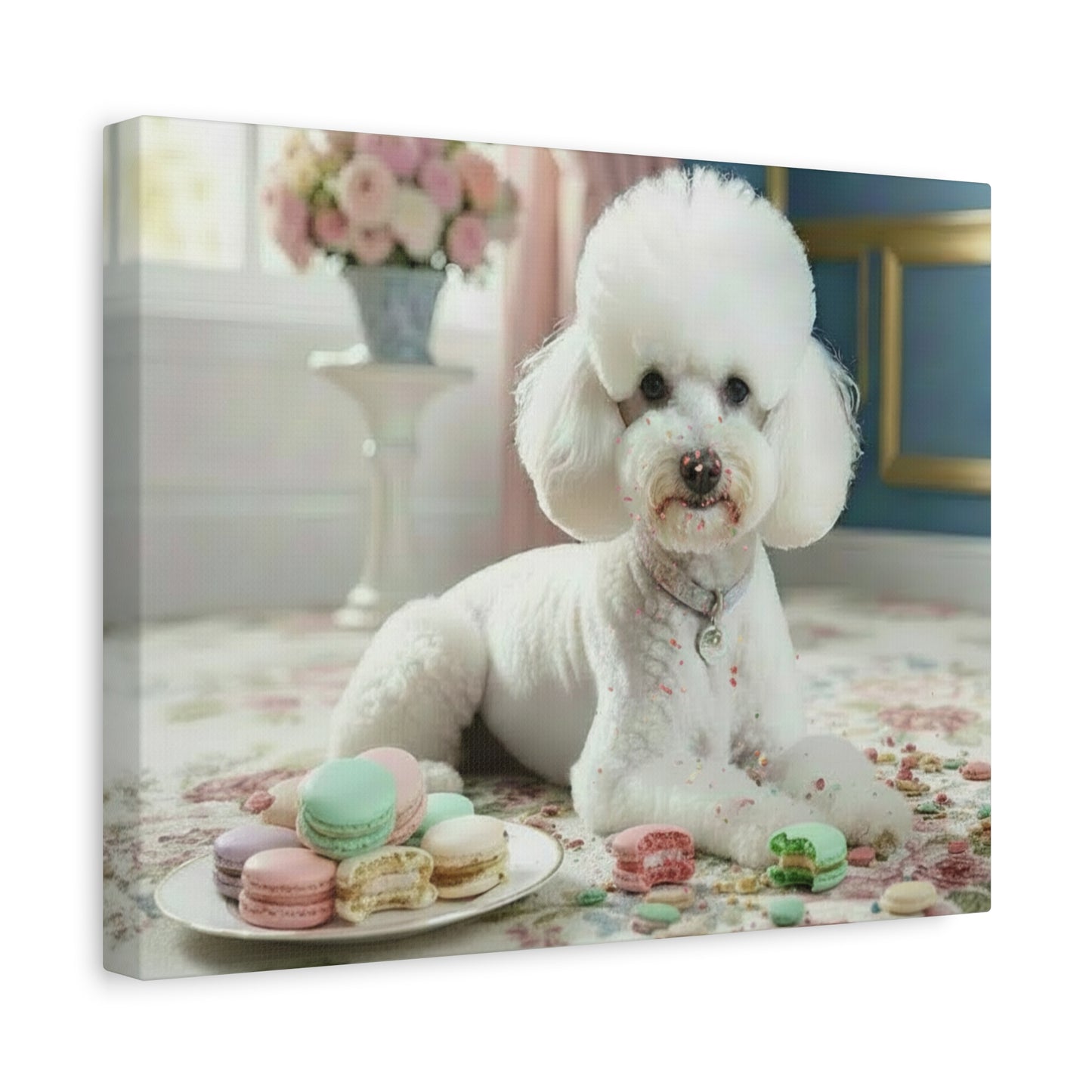 White poodle sitting next to a plate of colorful macarons in a decorative room.
