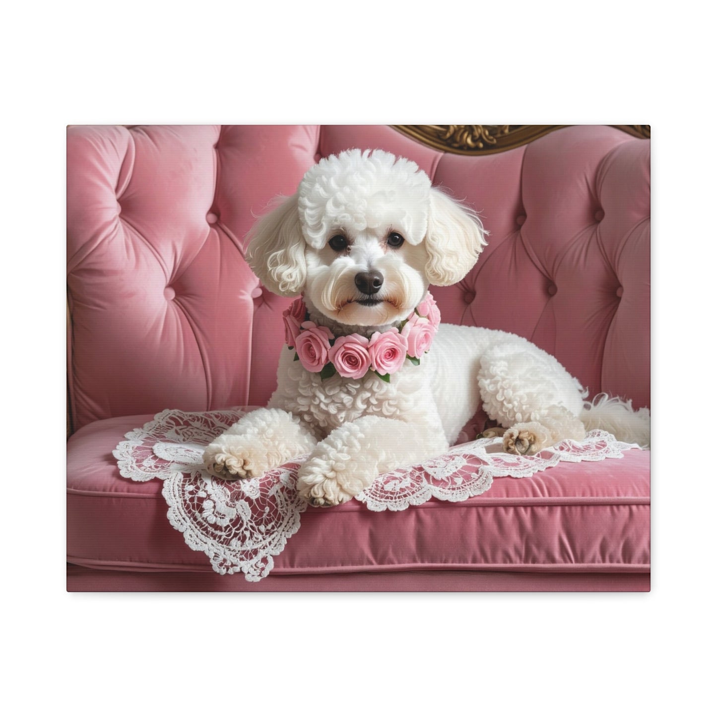 Bougie Bichon: Pink Velvet - Chunique Chihuahuas