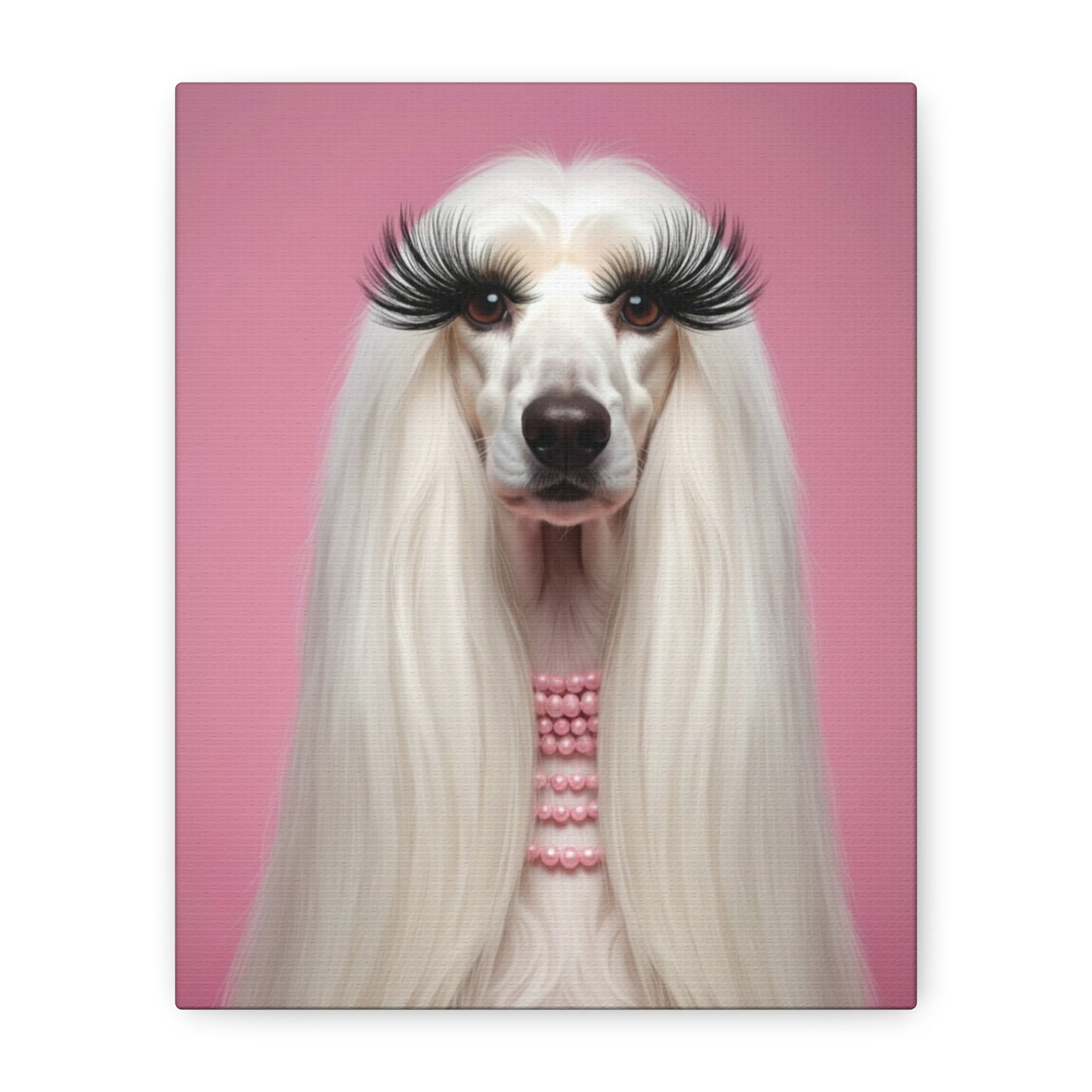 Glamorous Grandeur: White & Pink - Chunique Chihuahuas
