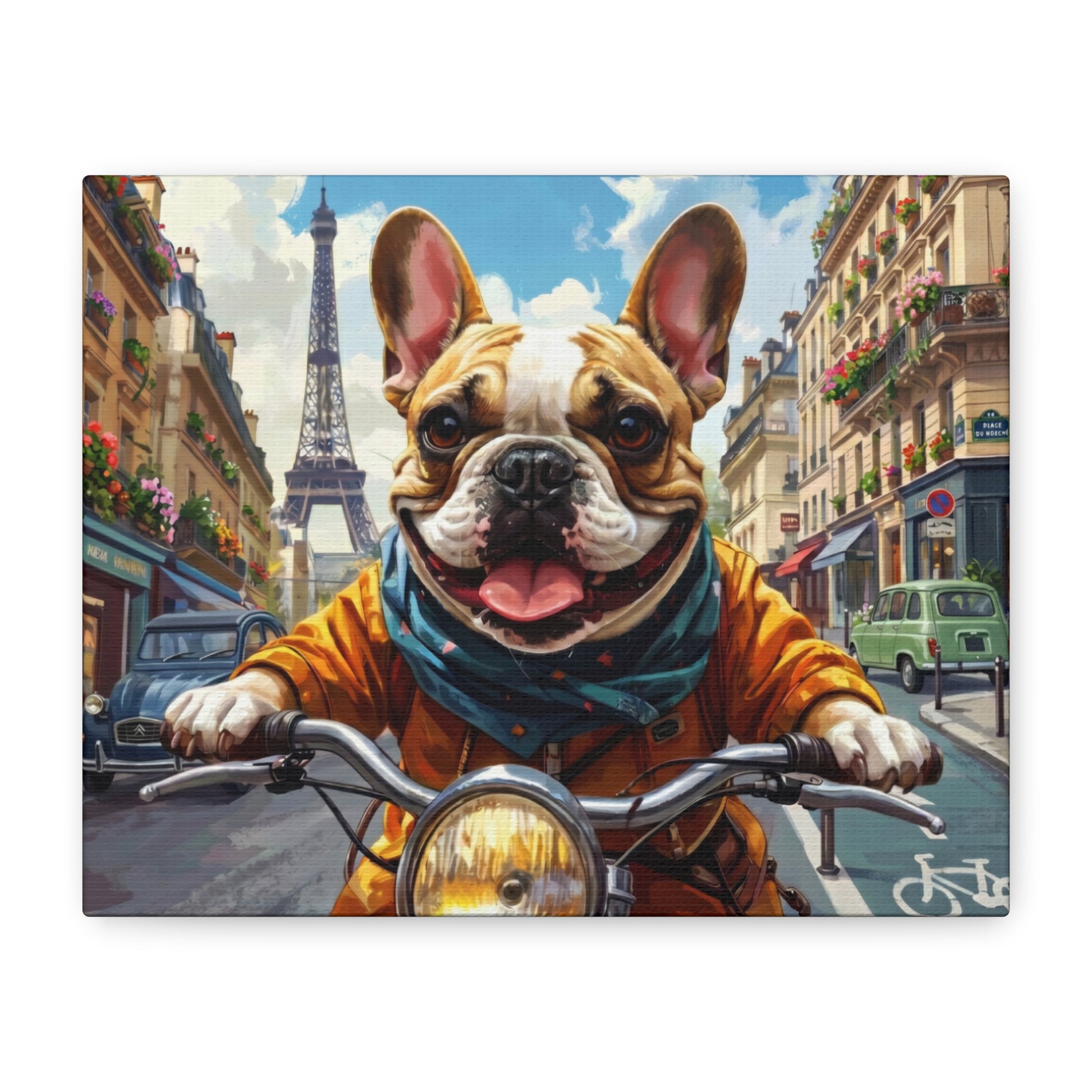 Frenchies in France: Motorbike - Chunique Chihuahuas