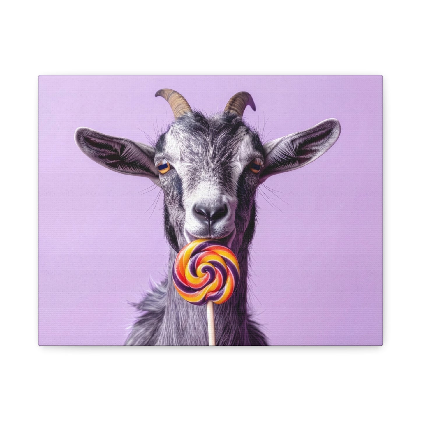 Goat with Lollipop Canvas Print — Whimsical Farmhouse Wall Art - Chunique Chihuahuas