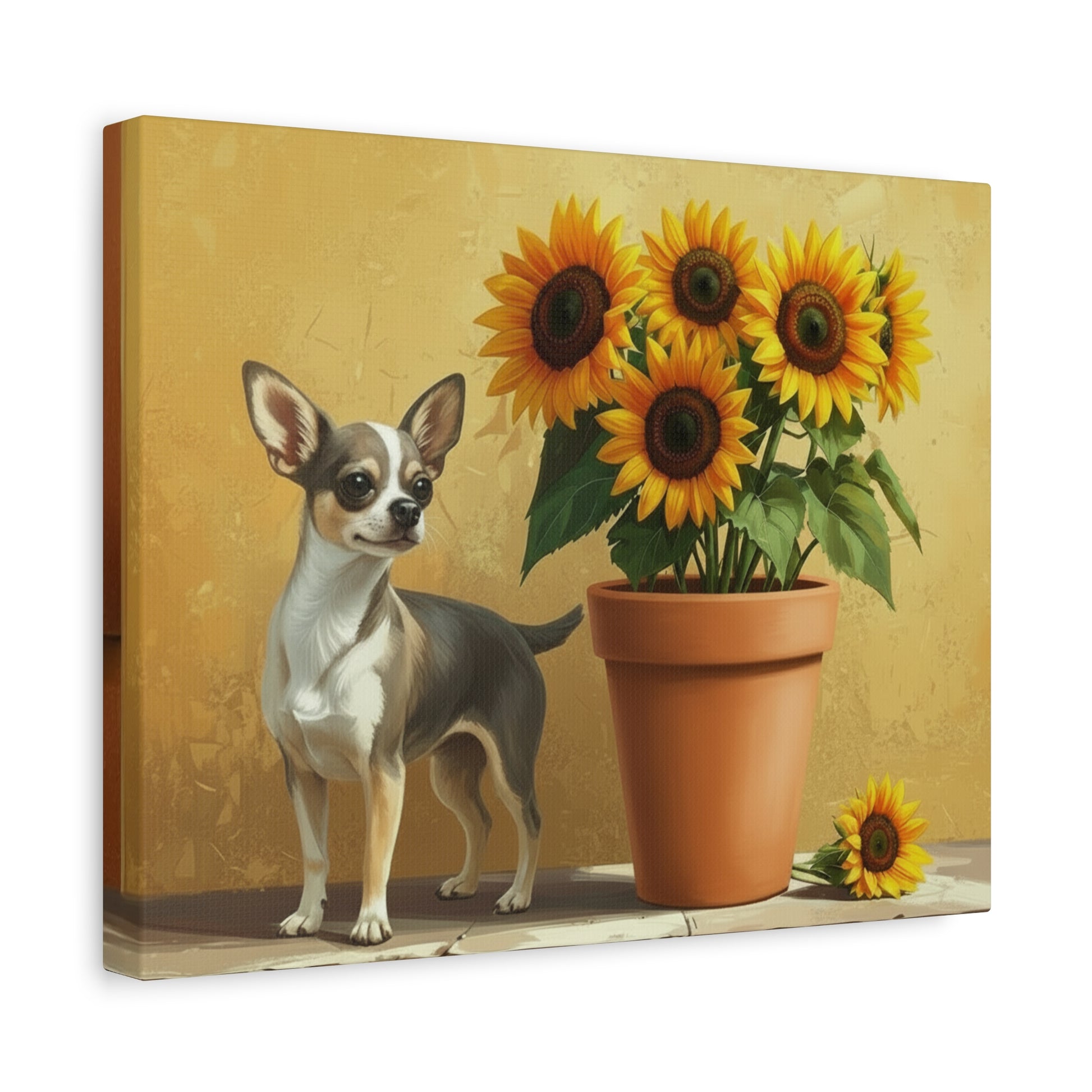 The Southwest: Sunflowers & Chihuahuas - Chunique Chihuahuas