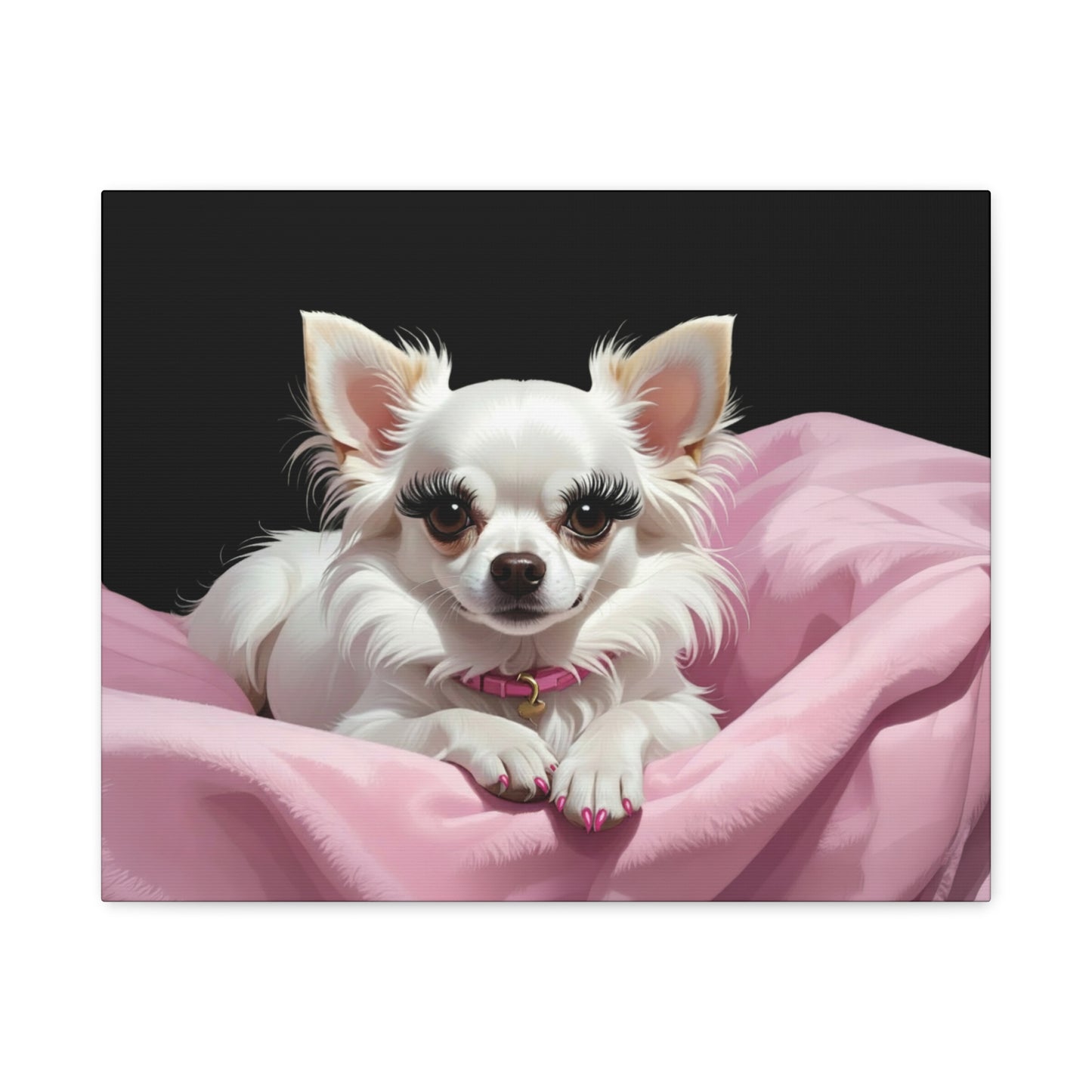 Perfectly Pink: Pink & Black - Chunique Chihuahuas