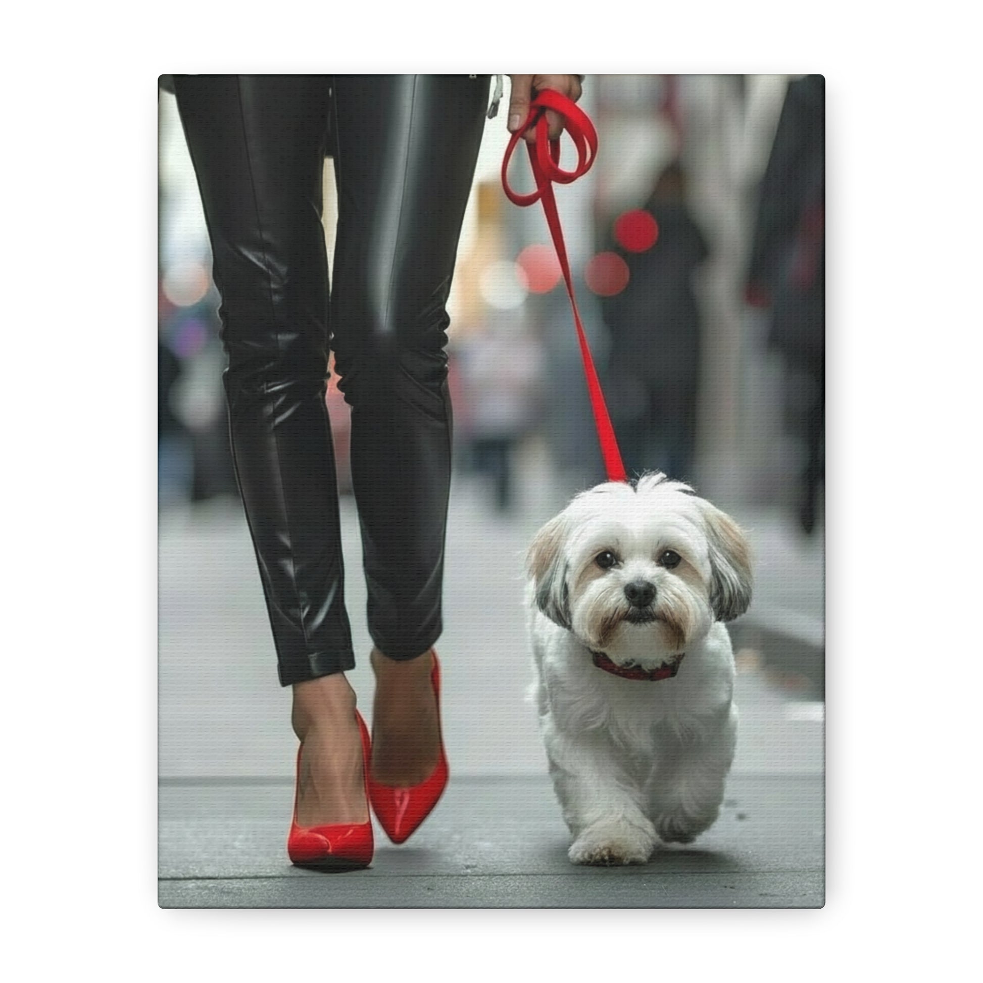 Shih Tzu Glitz: Off - Duty - Chunique Chihuahuas
