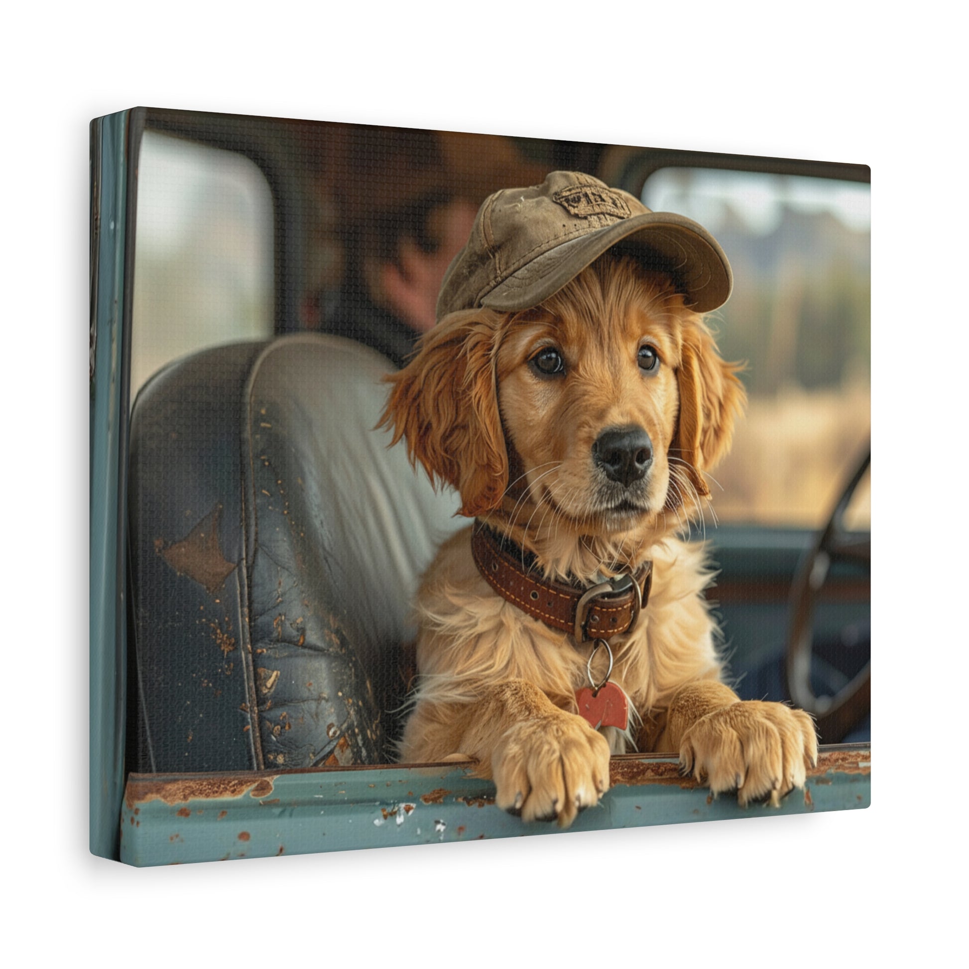 JoyRide: Golden Retriever - Chunique Chihuahuas