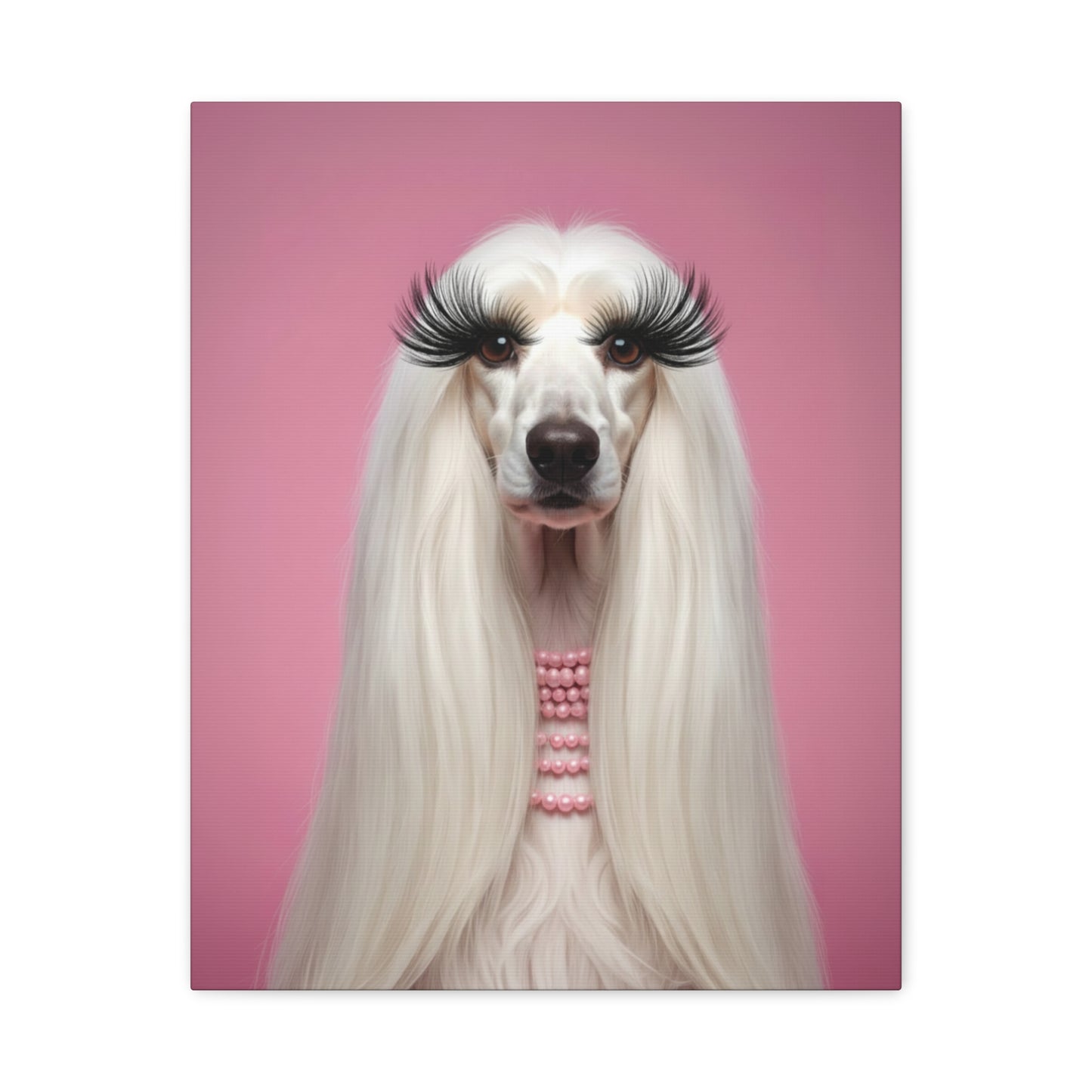 Glamorous Grandeur: White & Pink - Chunique Chihuahuas