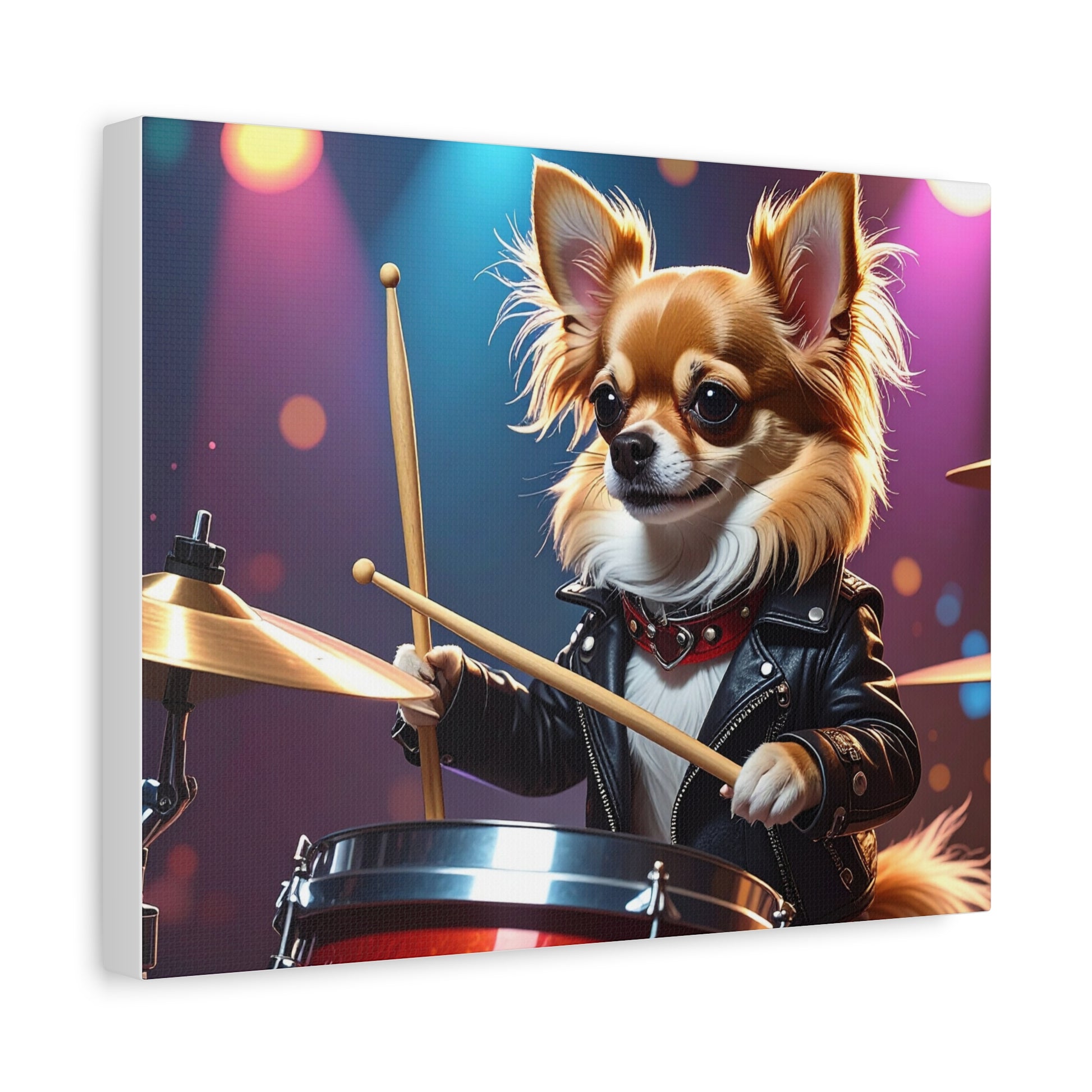 Music Muse: Rockstar - chunique chihuahuas