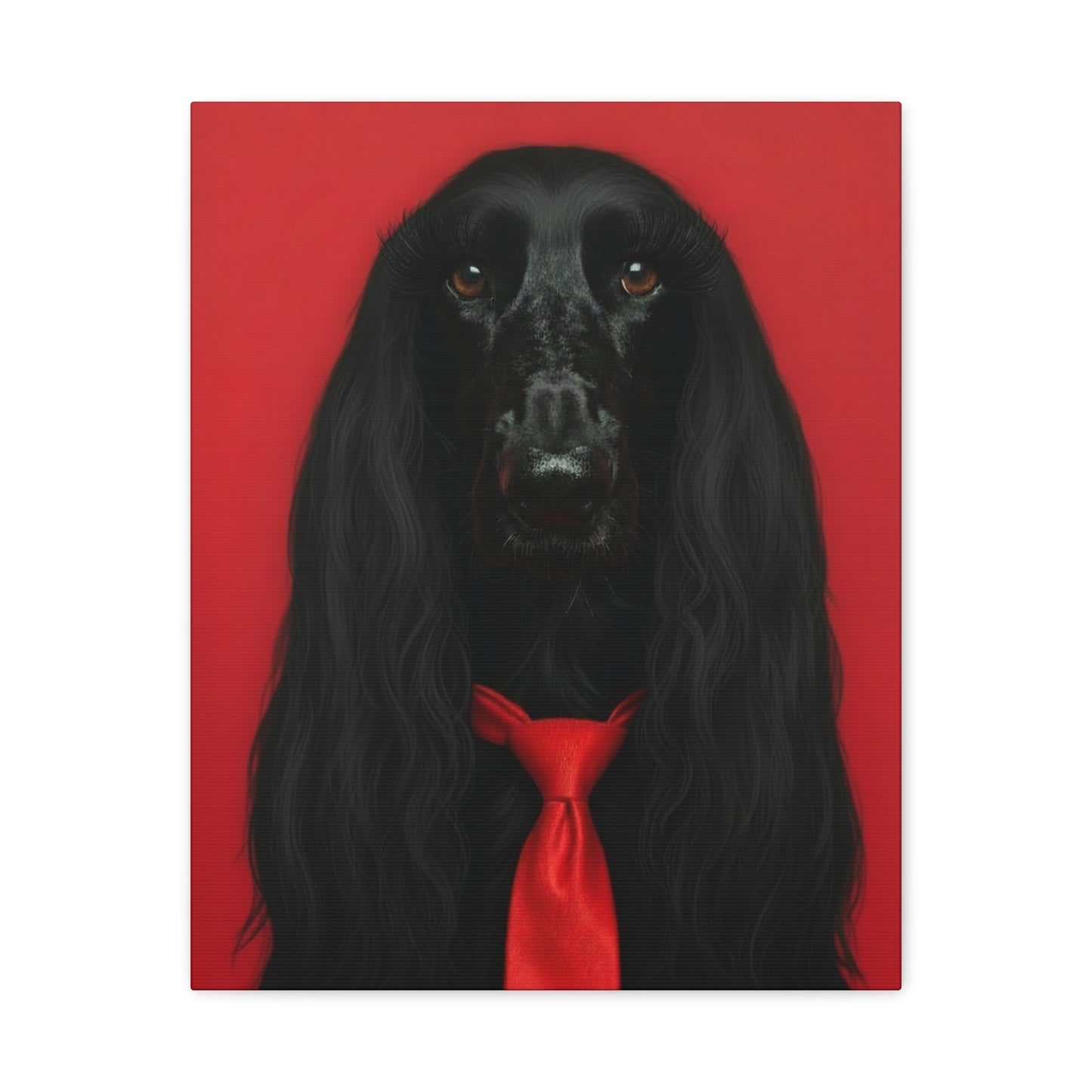 Glamorous Grandeur: Black & Red - Chunique Chihuahuas