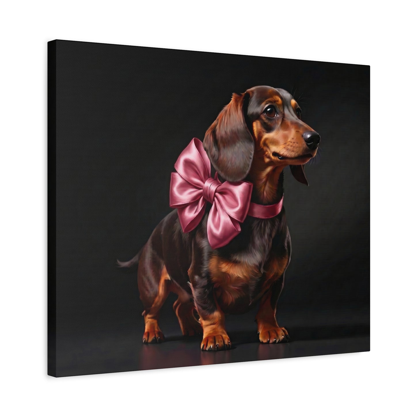 Darling Dachshunds: Pink Bow - Chunique Chihuahuas