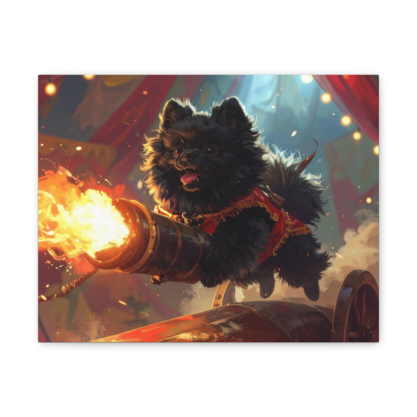 Pom - Pom Mayhem: Cannon - chunique chihuahuas