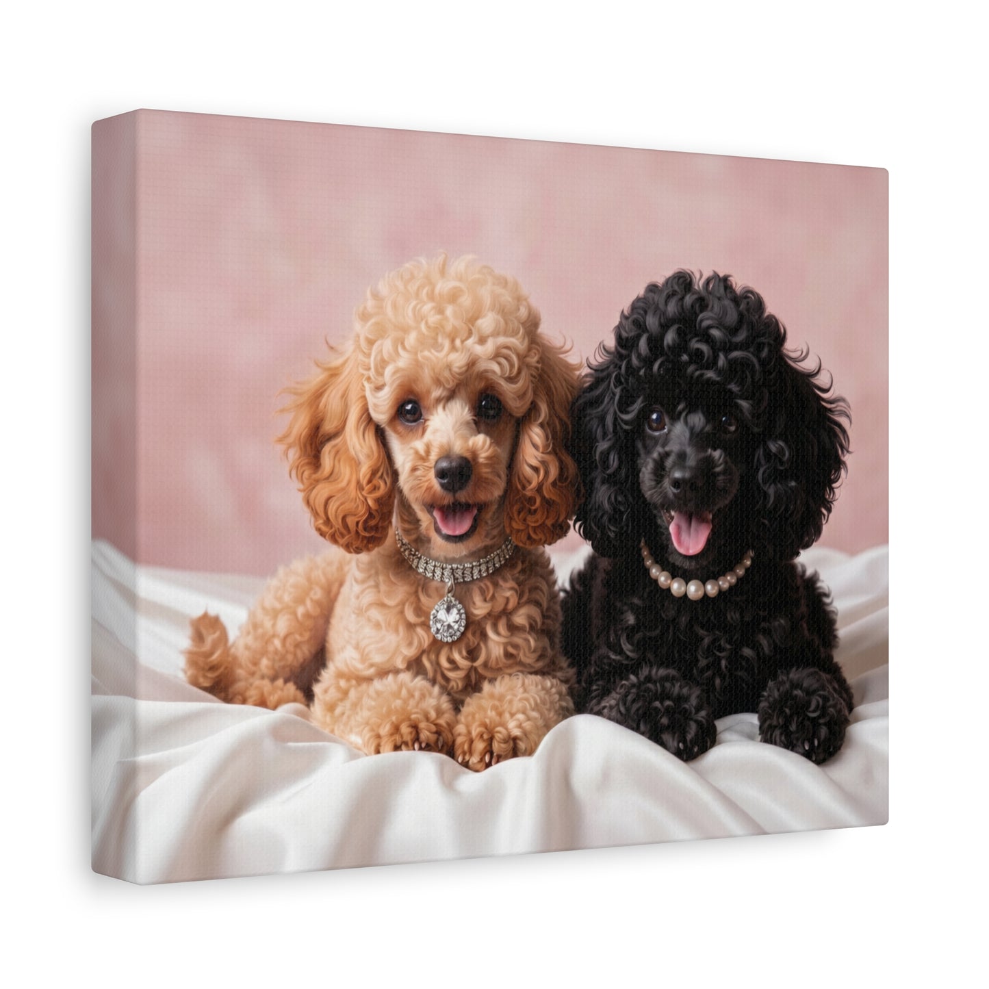 Posh Poodles: Poodle Puppies & Silk - Chunique Chihuahuas