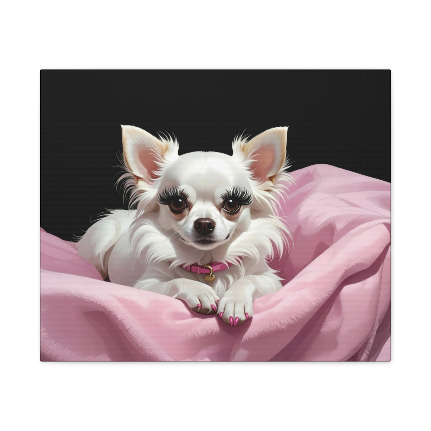 Perfectly Pink: Pink & Black - Chunique Chihuahuas