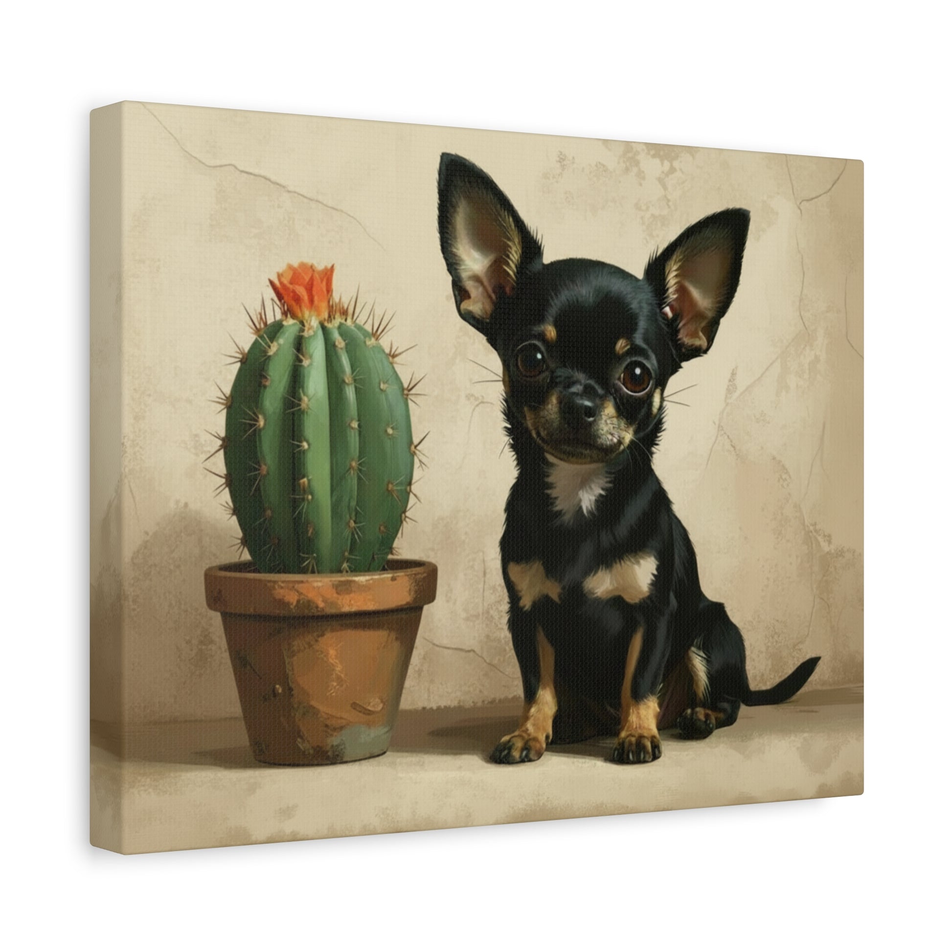 The Southwest: Cactus & Chihuahua - Chunique Chihuahuas