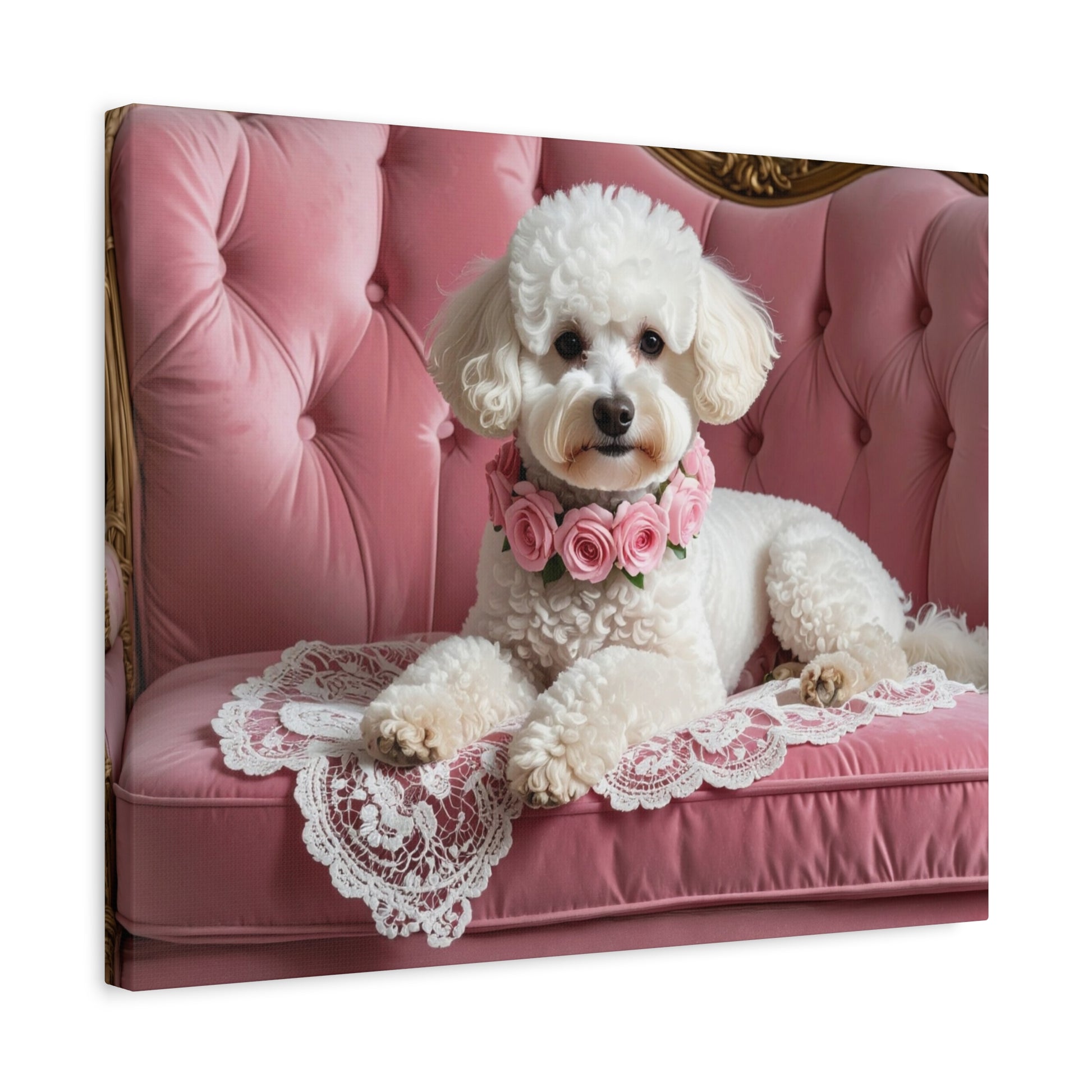 Bougie Bichon: Pink Velvet - Chunique Chihuahuas