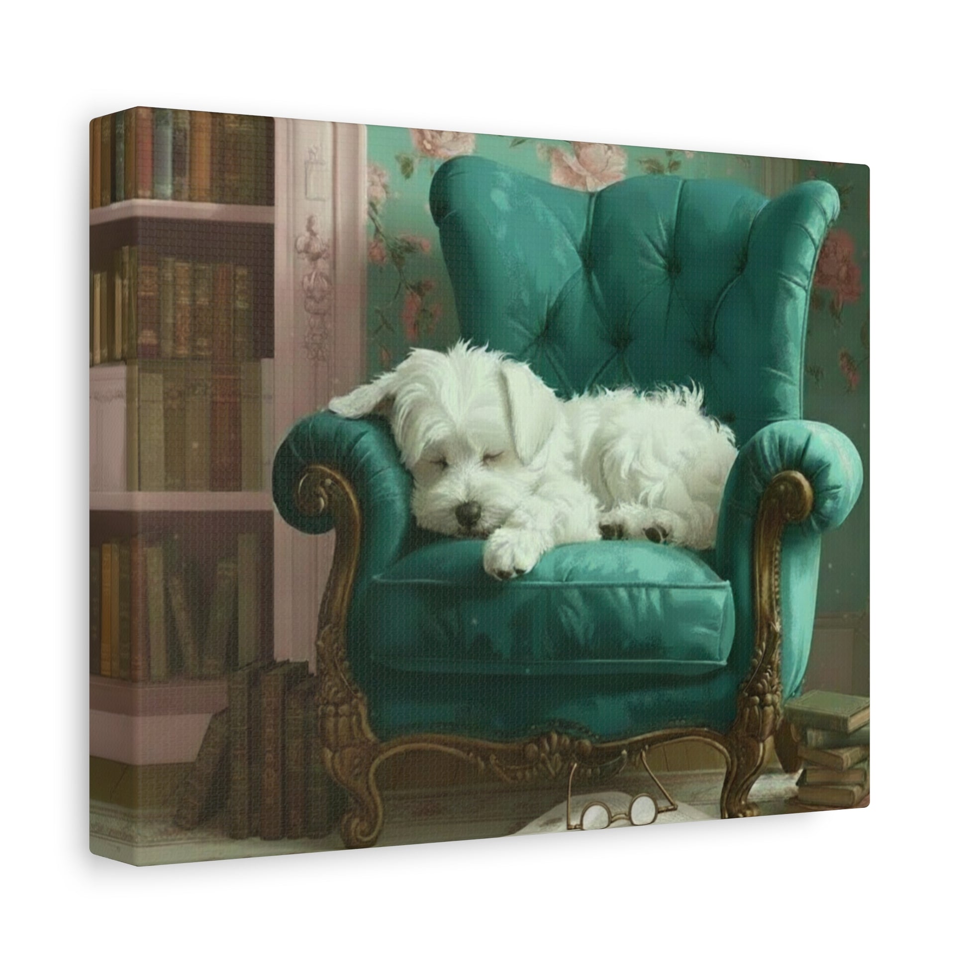 Bougie Bichon: The Library - Chunique Chihuahuas