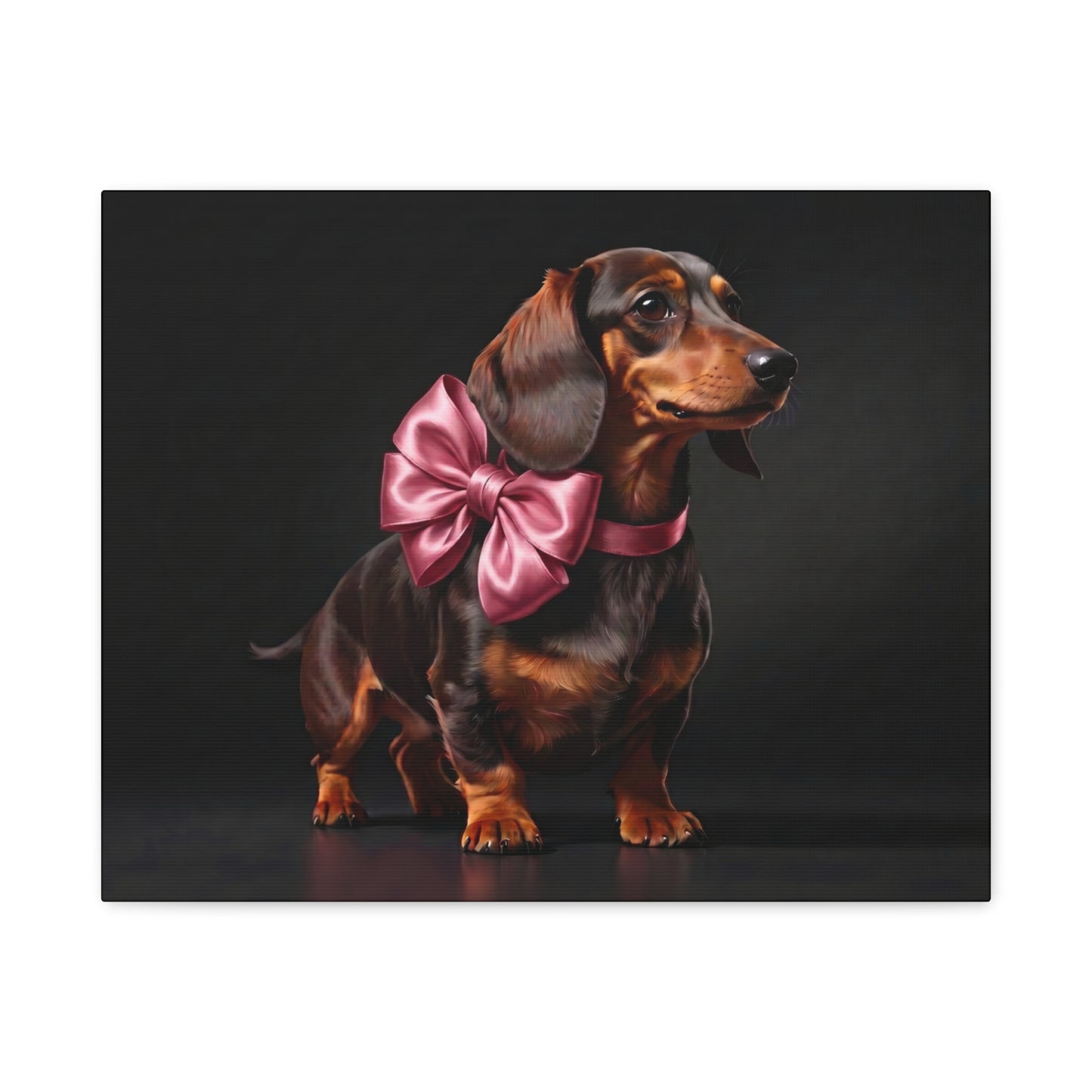 Darling Dachshunds: Pink Bow - Chunique Chihuahuas