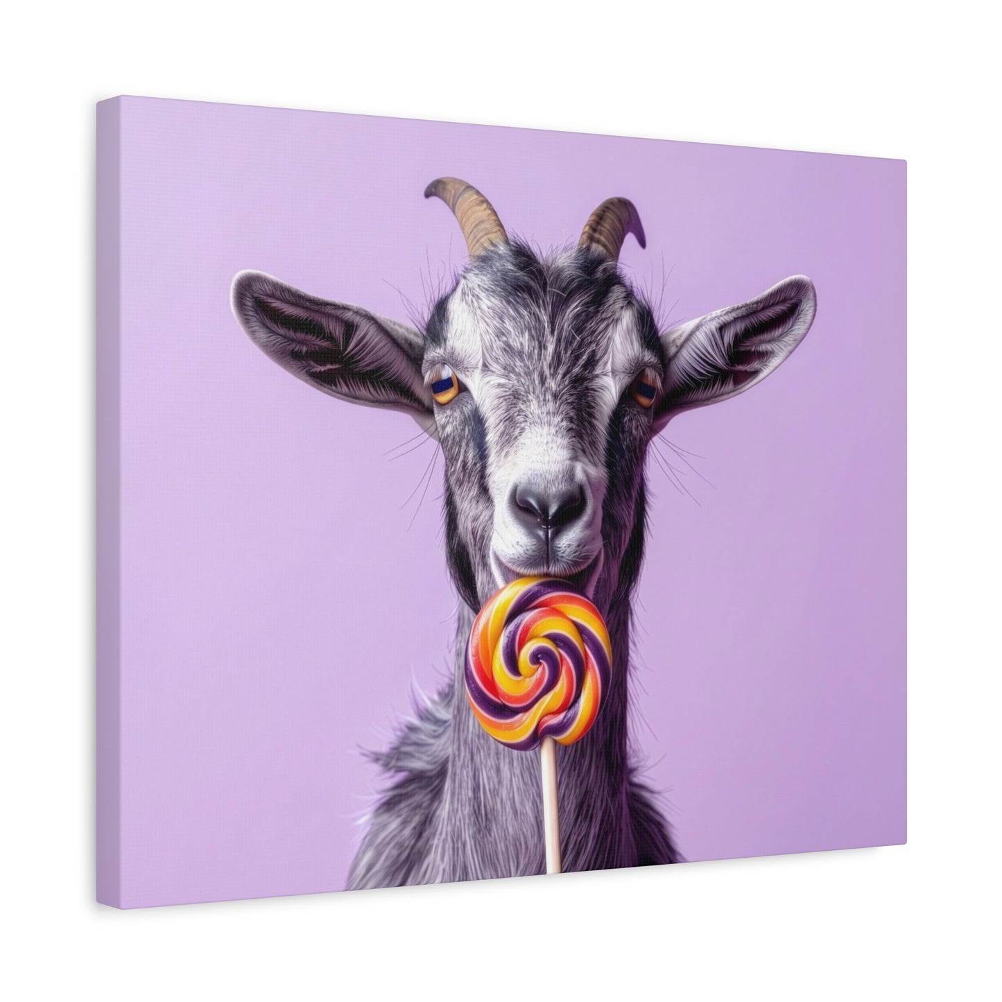 Goat with Lollipop Canvas Print — Whimsical Farmhouse Wall Art - Chunique Chihuahuas