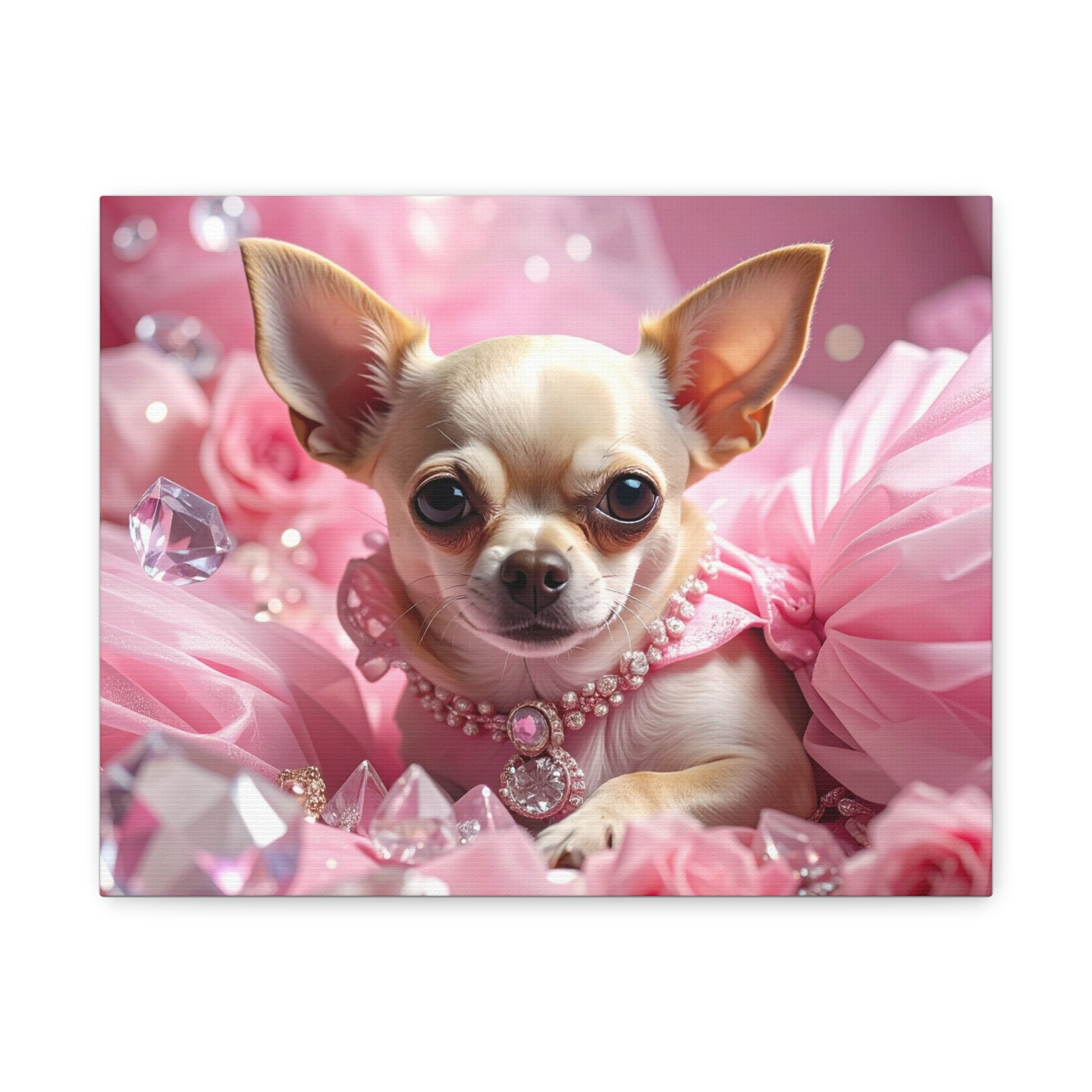 Rags to Riches: Princess - chunique chihuahuas