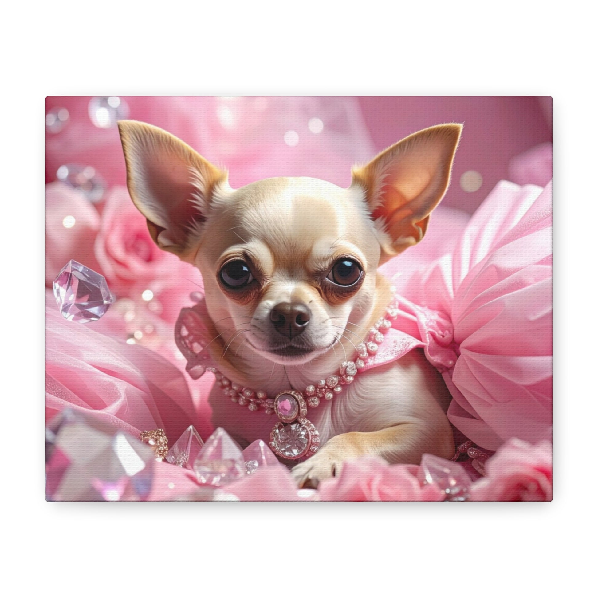 Rags to Riches: Princess - Chunique Chihuahuas