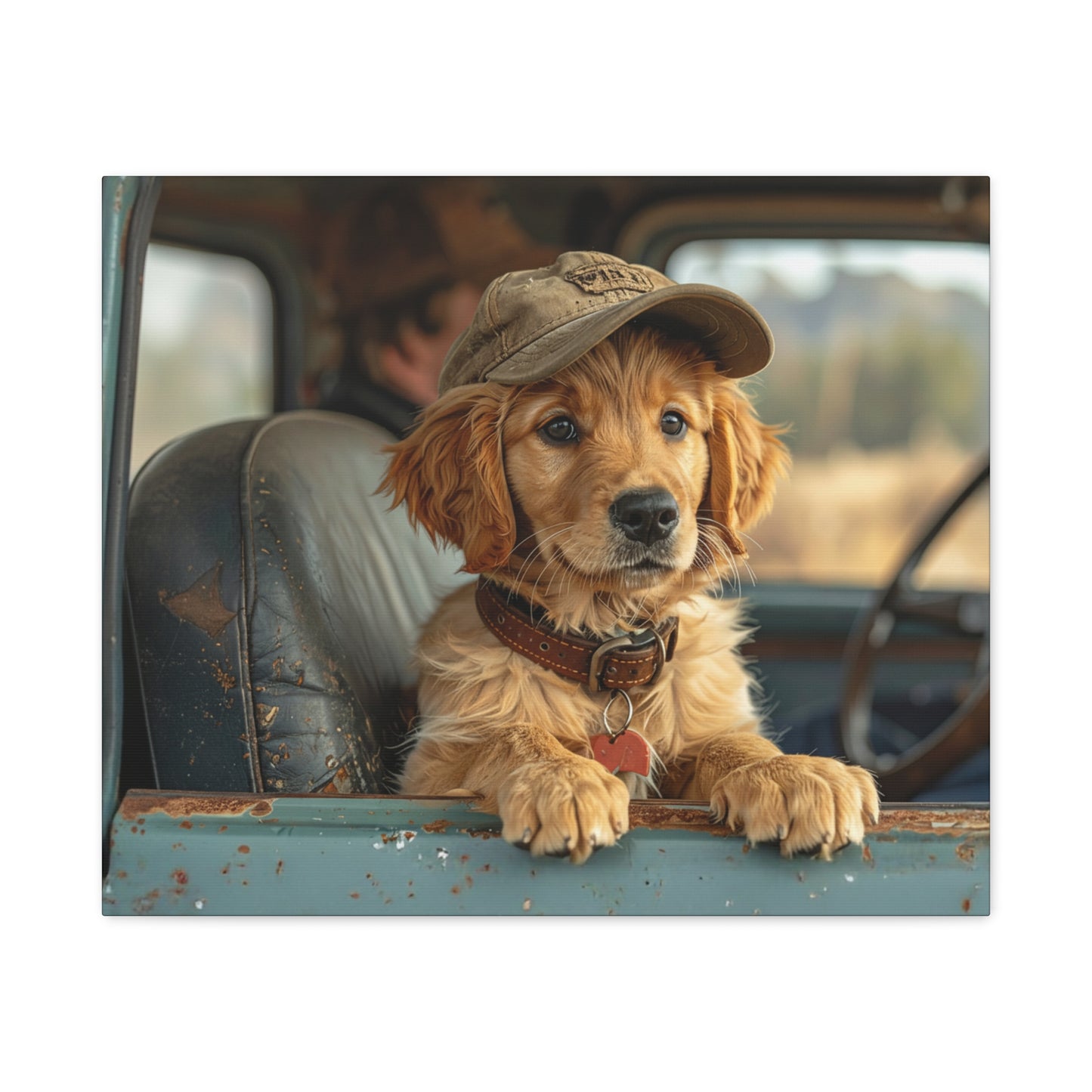 JoyRide: Golden Retriever - Chunique Chihuahuas