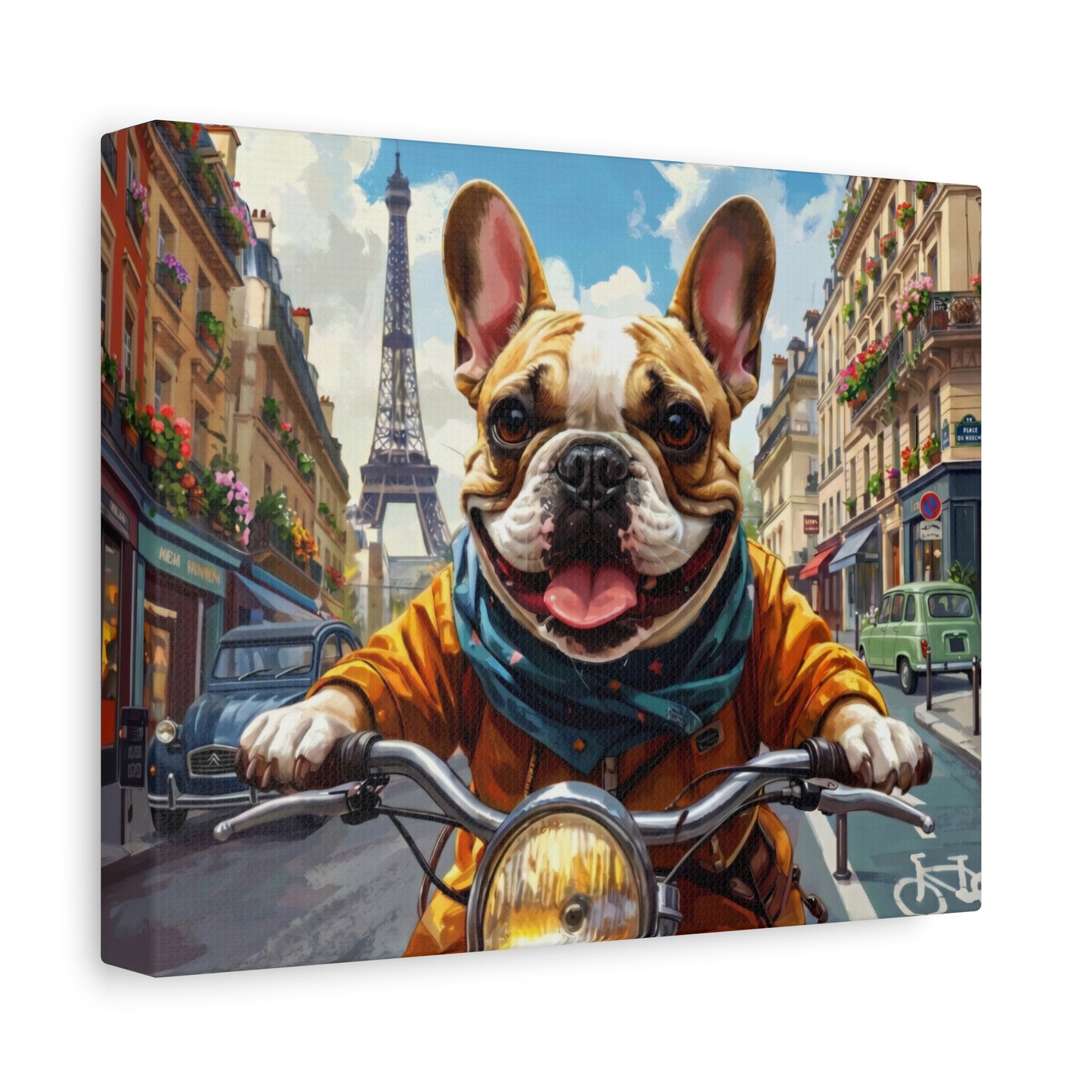 Frenchies in France: Motorbike - Chunique Chihuahuas