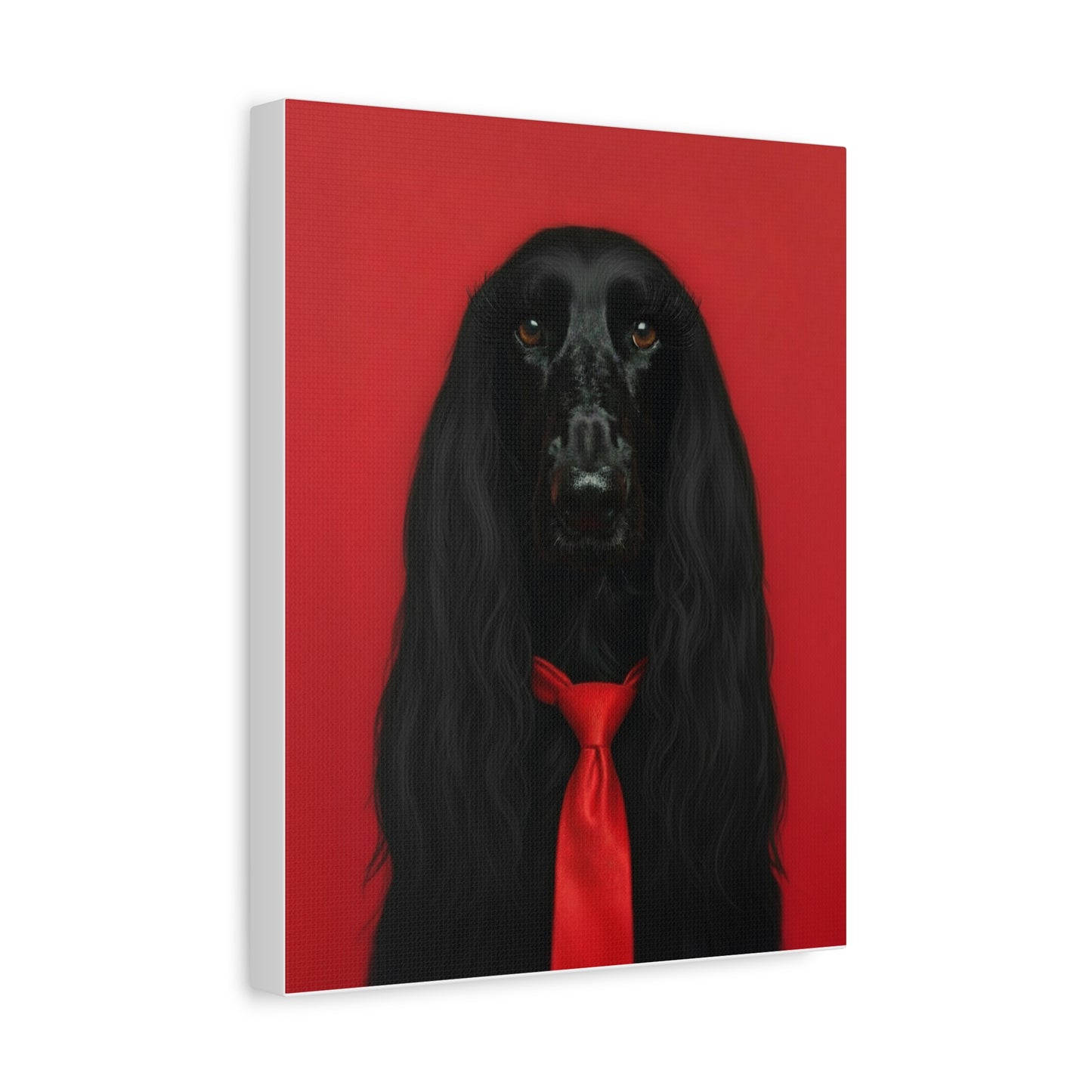 Glamorous Grandeur: Black & Red - chunique chihuahuas