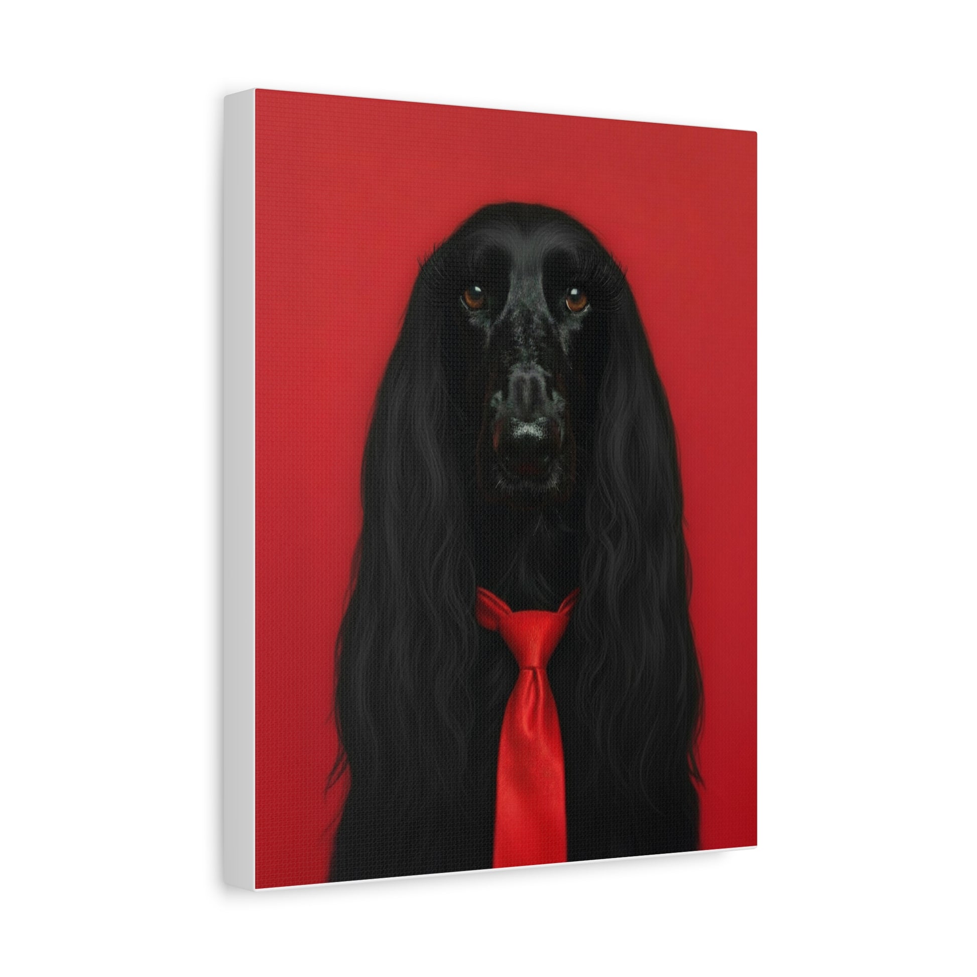 Glamorous Grandeur: Black & Red - chunique chihuahuas