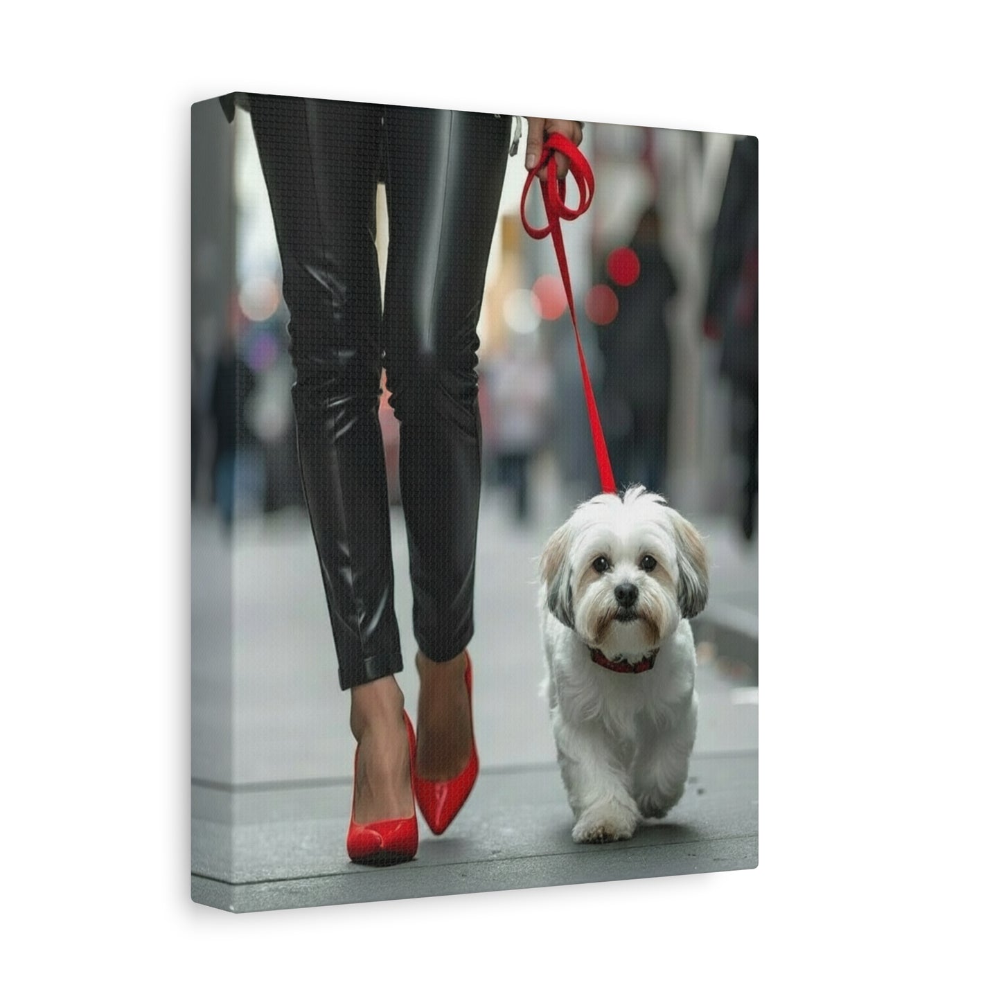 Shih Tzu Glitz: Off - Duty - Chunique Chihuahuas